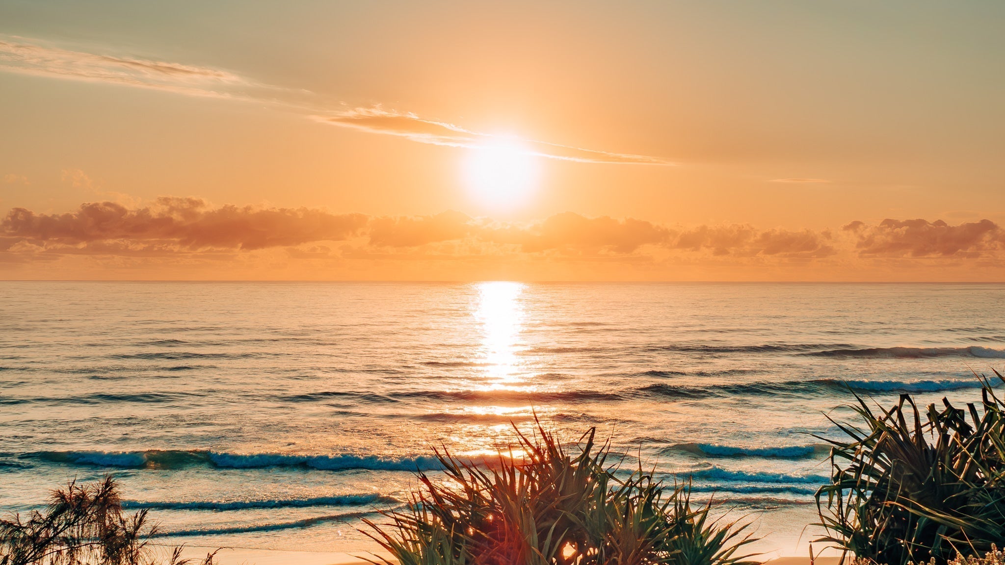 Appreciate What You Have: The Key to Happiness