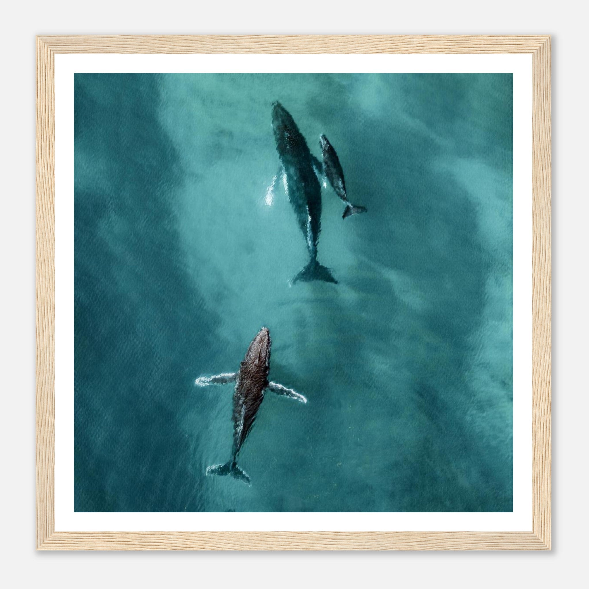 0265d102-3d3f-4a21-bb87-58b1f2831391