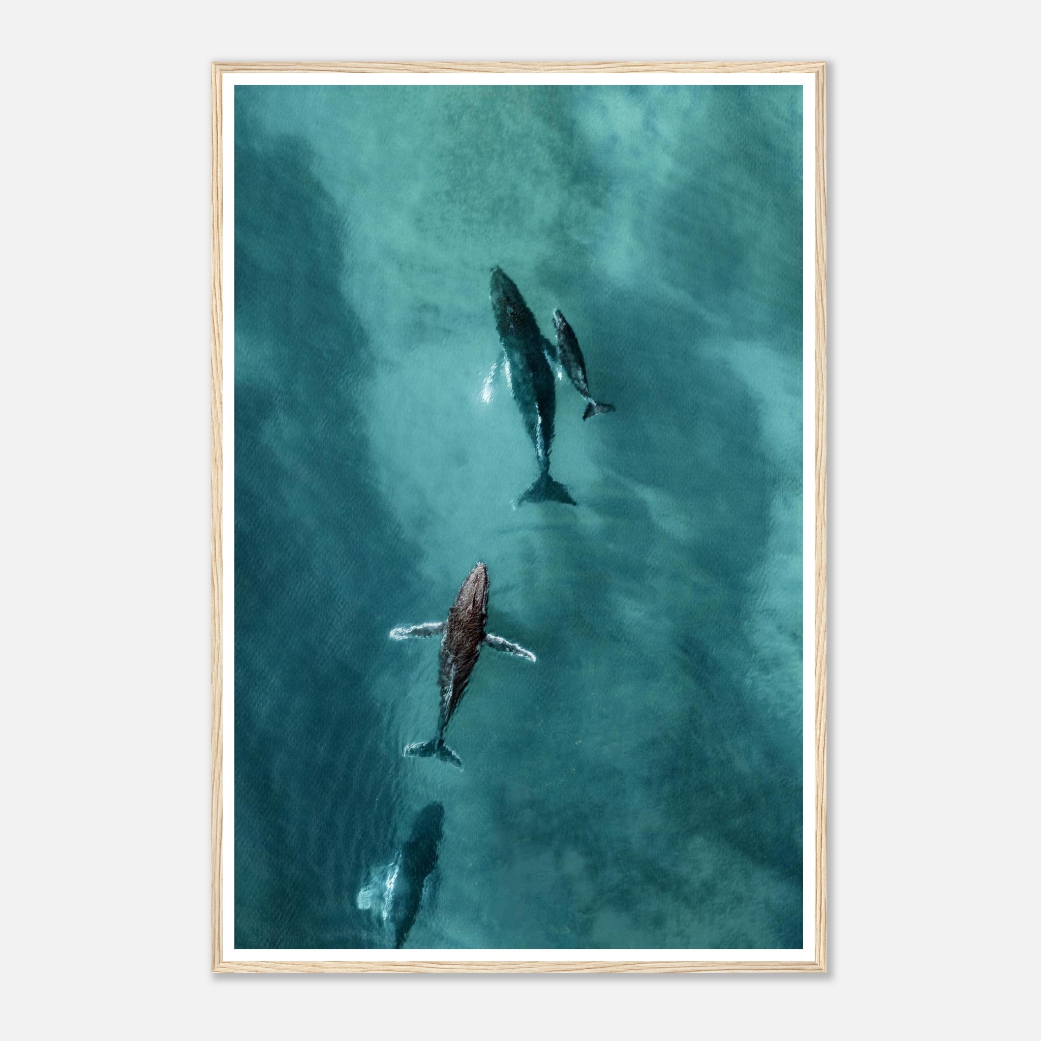 07c0e5d6-4610-4dbc-8b95-83a8d4e5d297