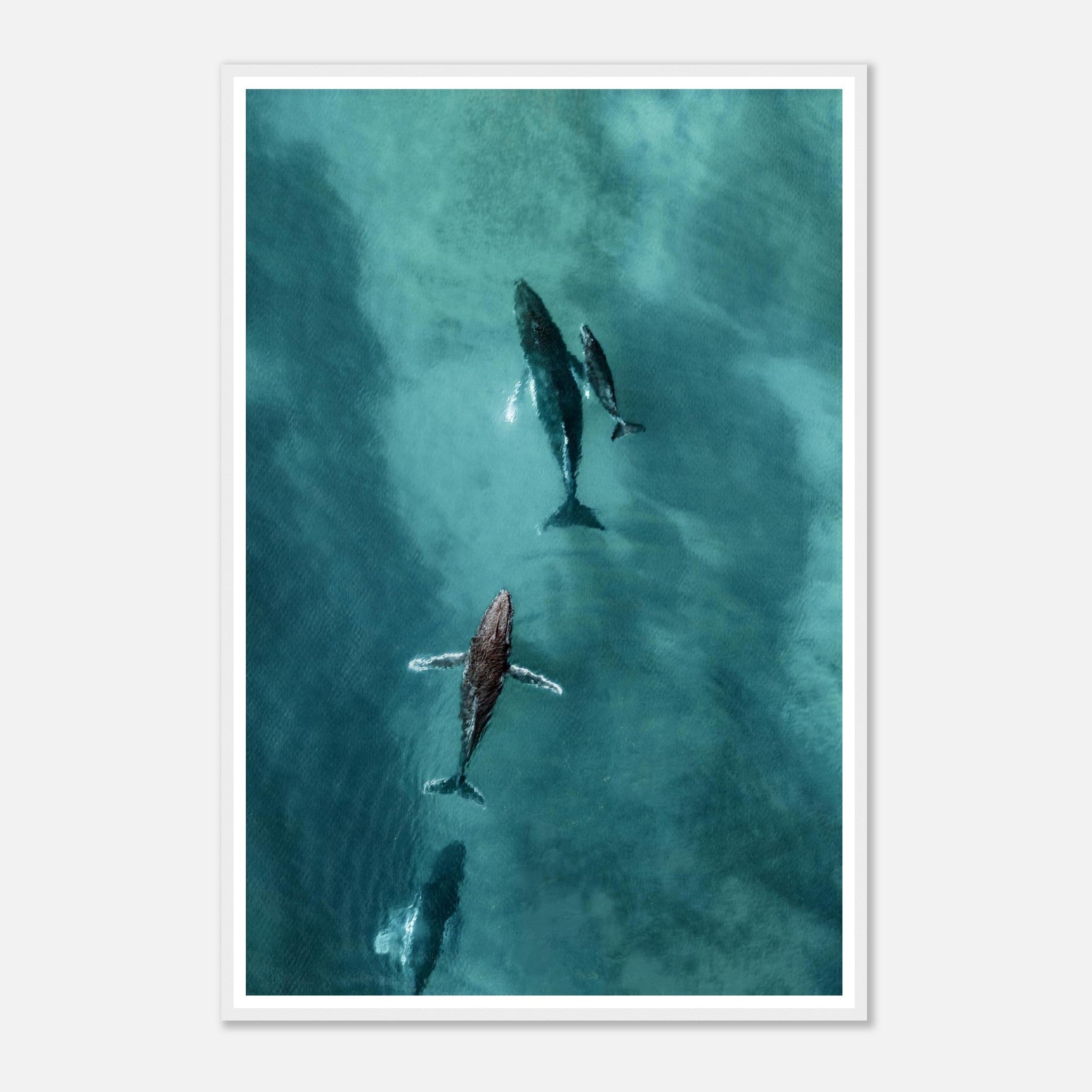 07dcf12f-d3d4-4b2b-bf92-97837eeaae63