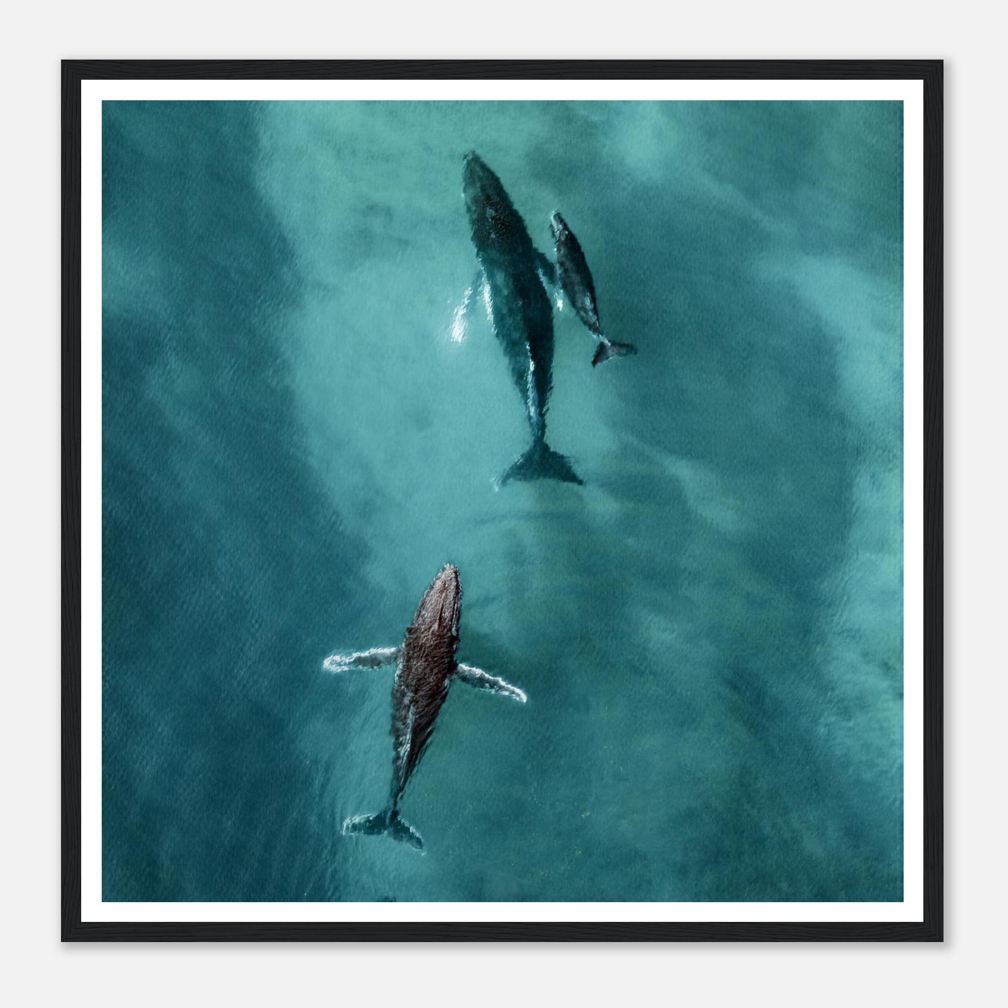 0c6e0ec9-5813-47ee-abe0-50a87fcef802