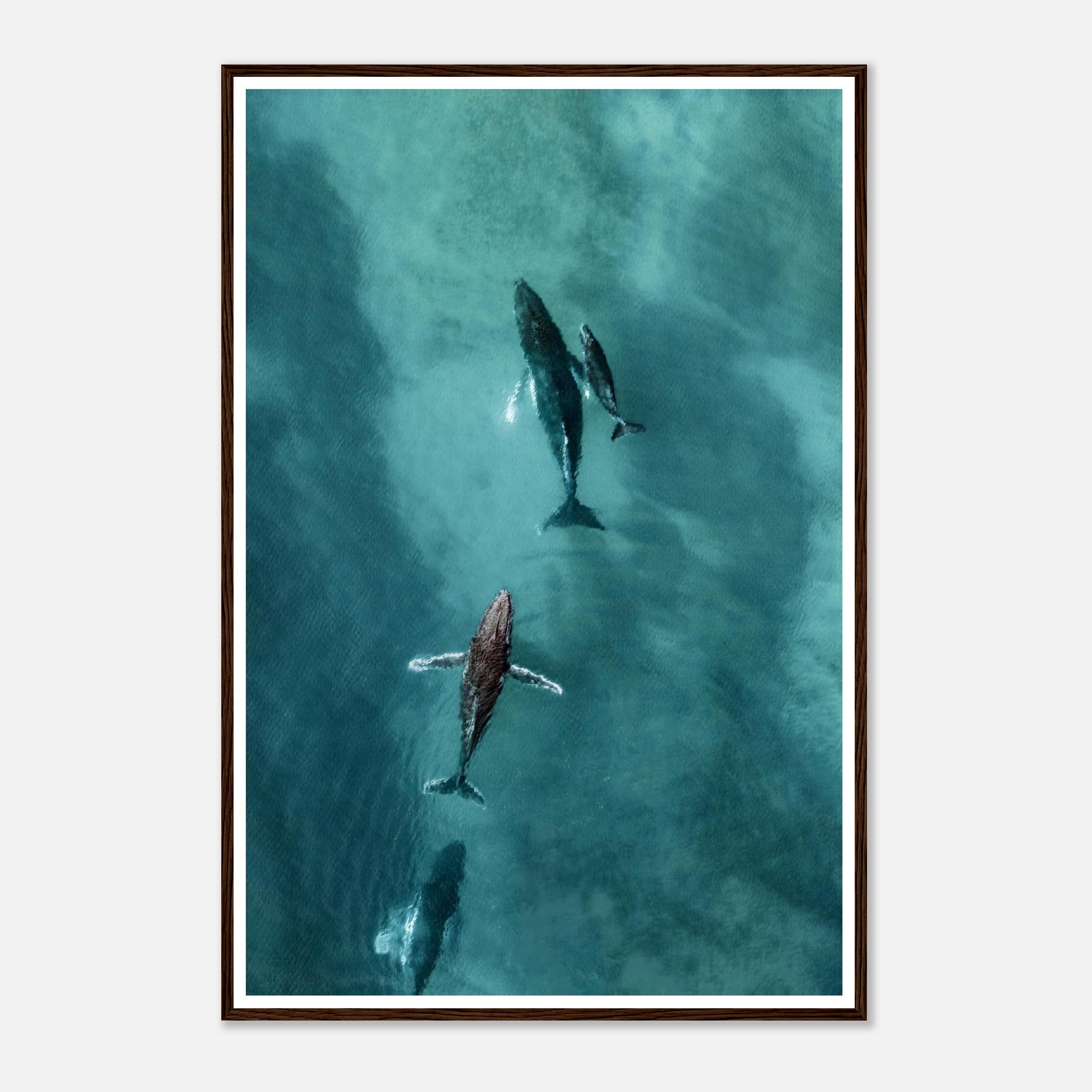 0df18167-1d94-4b91-ba08-5e452cd10a7c