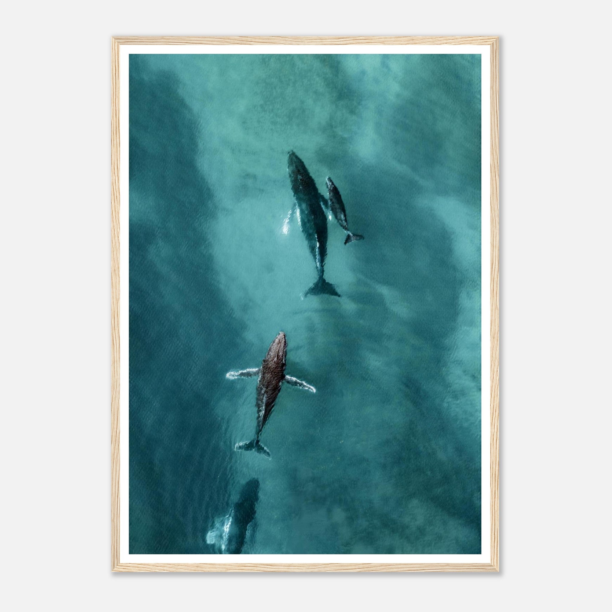 1713de7f-c66a-4ad3-b084-f61fc5e49702