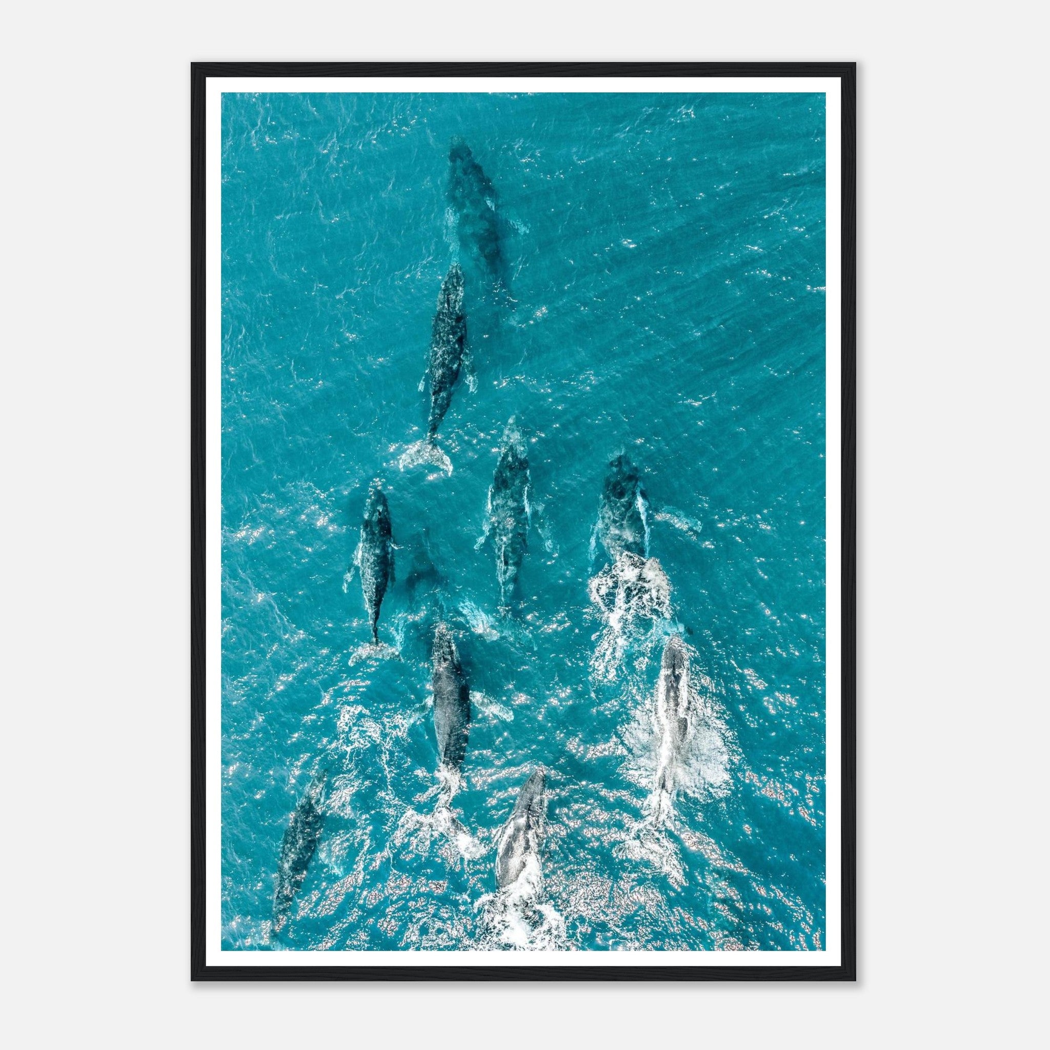 17bb0c1f-74a4-439d-9ed4-ab237e89e35b