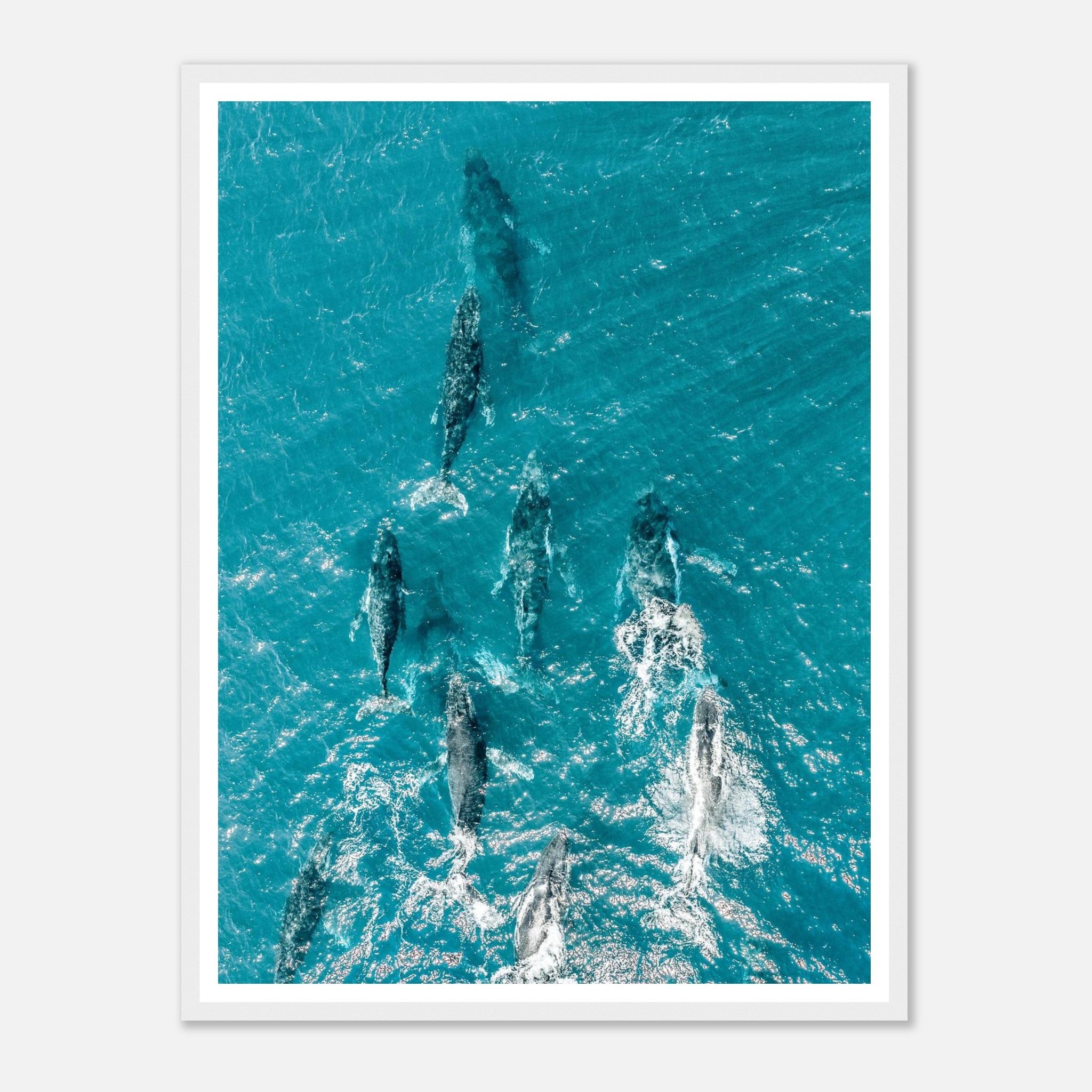 17e5003b-bc6d-4132-9aeb-fce17c28dbb7