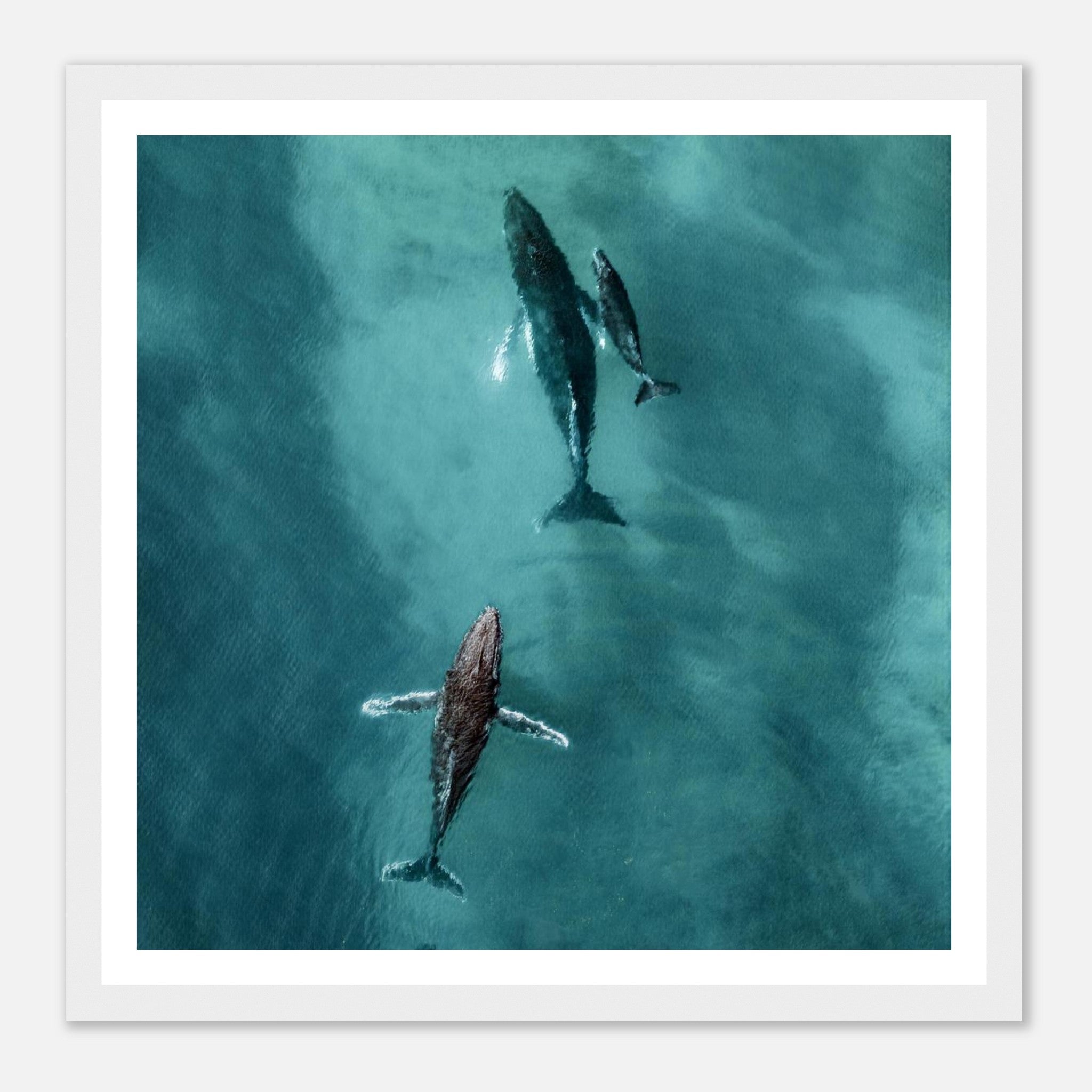 1861b6eb-f935-4987-a70f-42546ddf0ebb