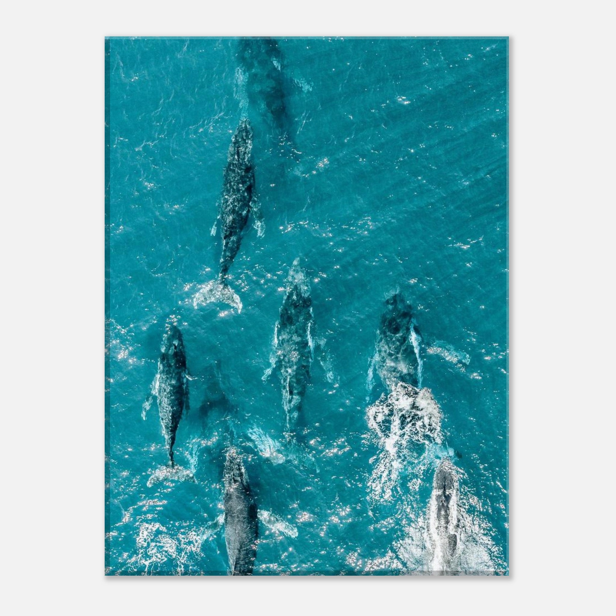 1afcd2ce-dc3f-4c92-b2b2-6eec50c3efac