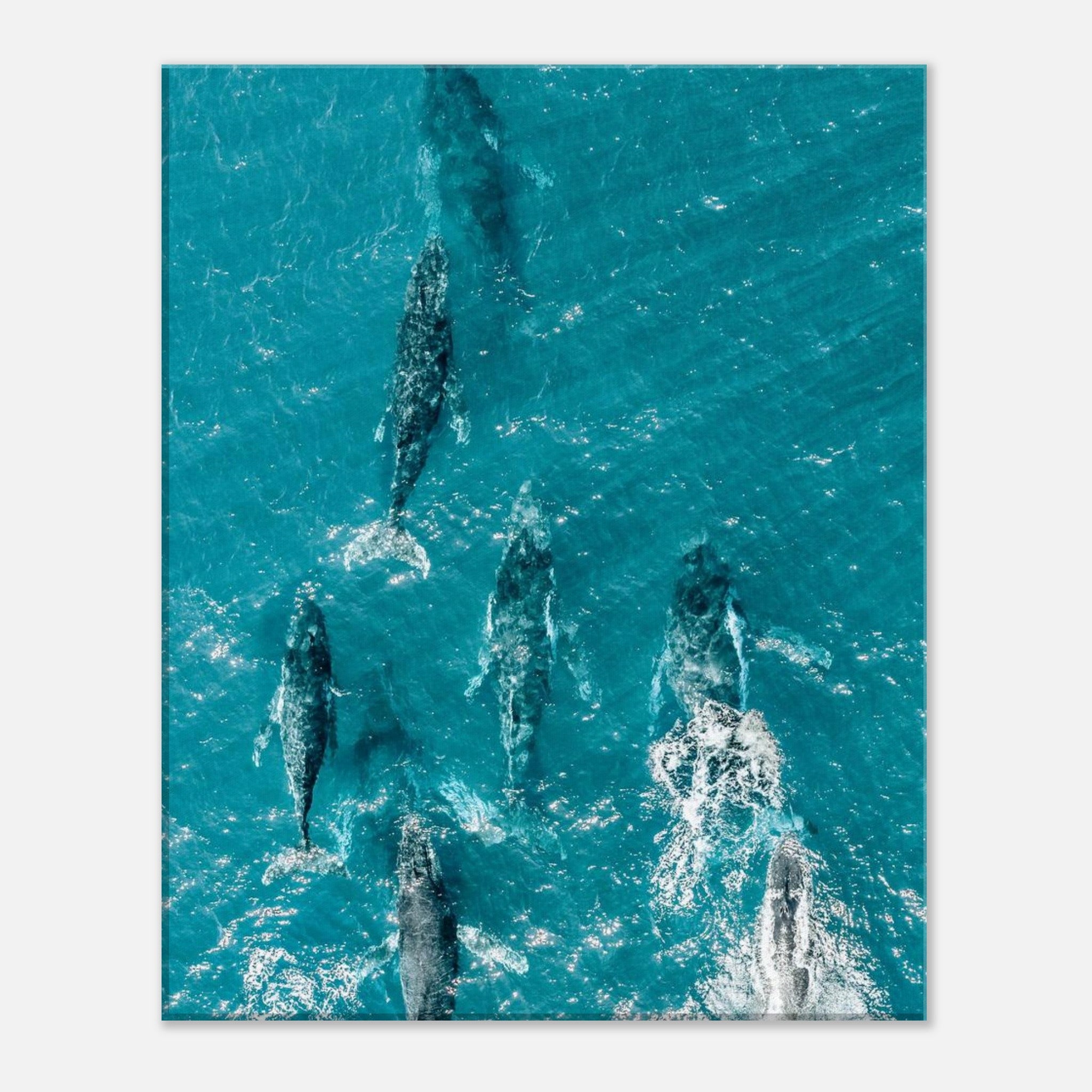 1bc4a27e-220c-4fc8-97ef-b2838b3f1293