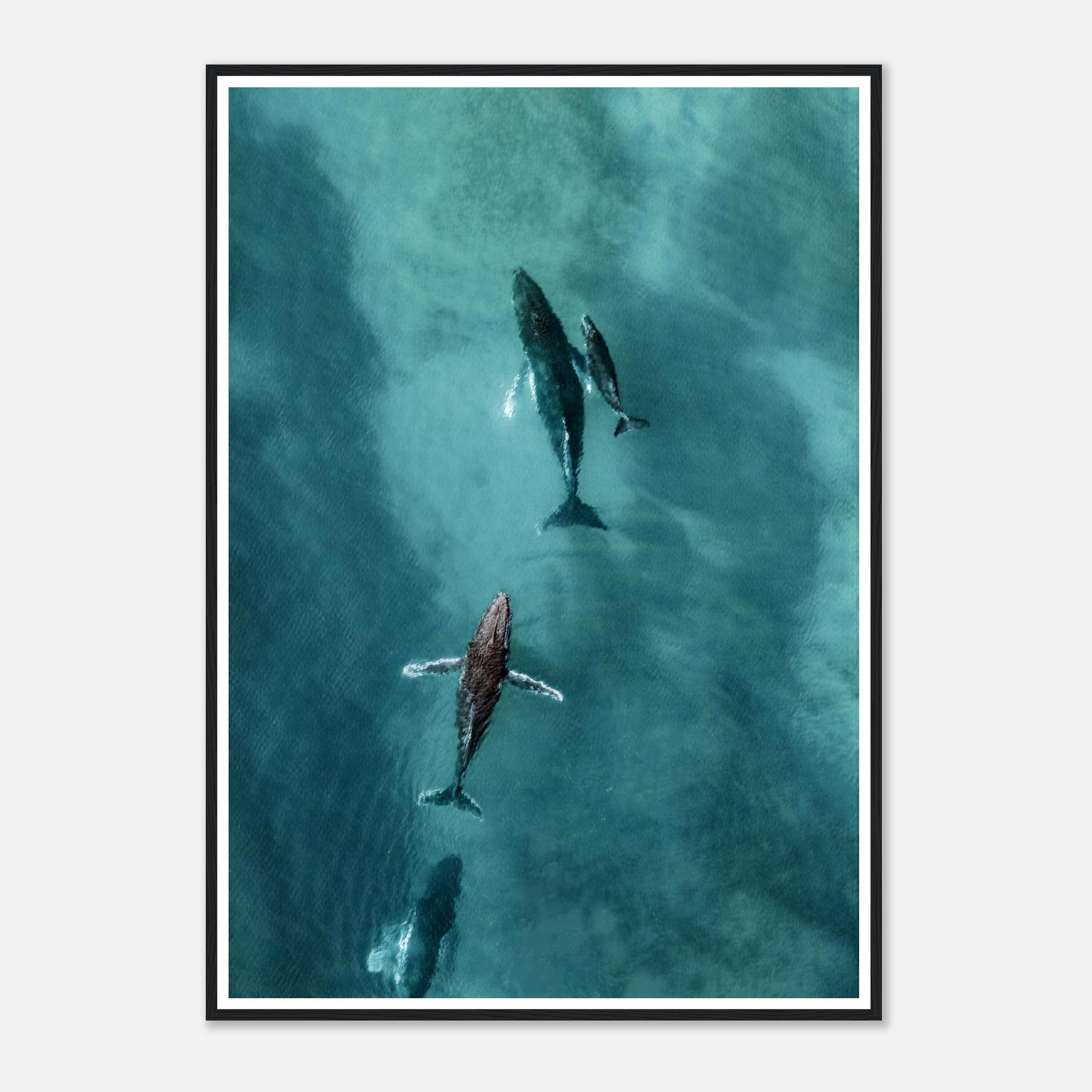 1c572ef6-288f-434d-a84c-33501df341ba