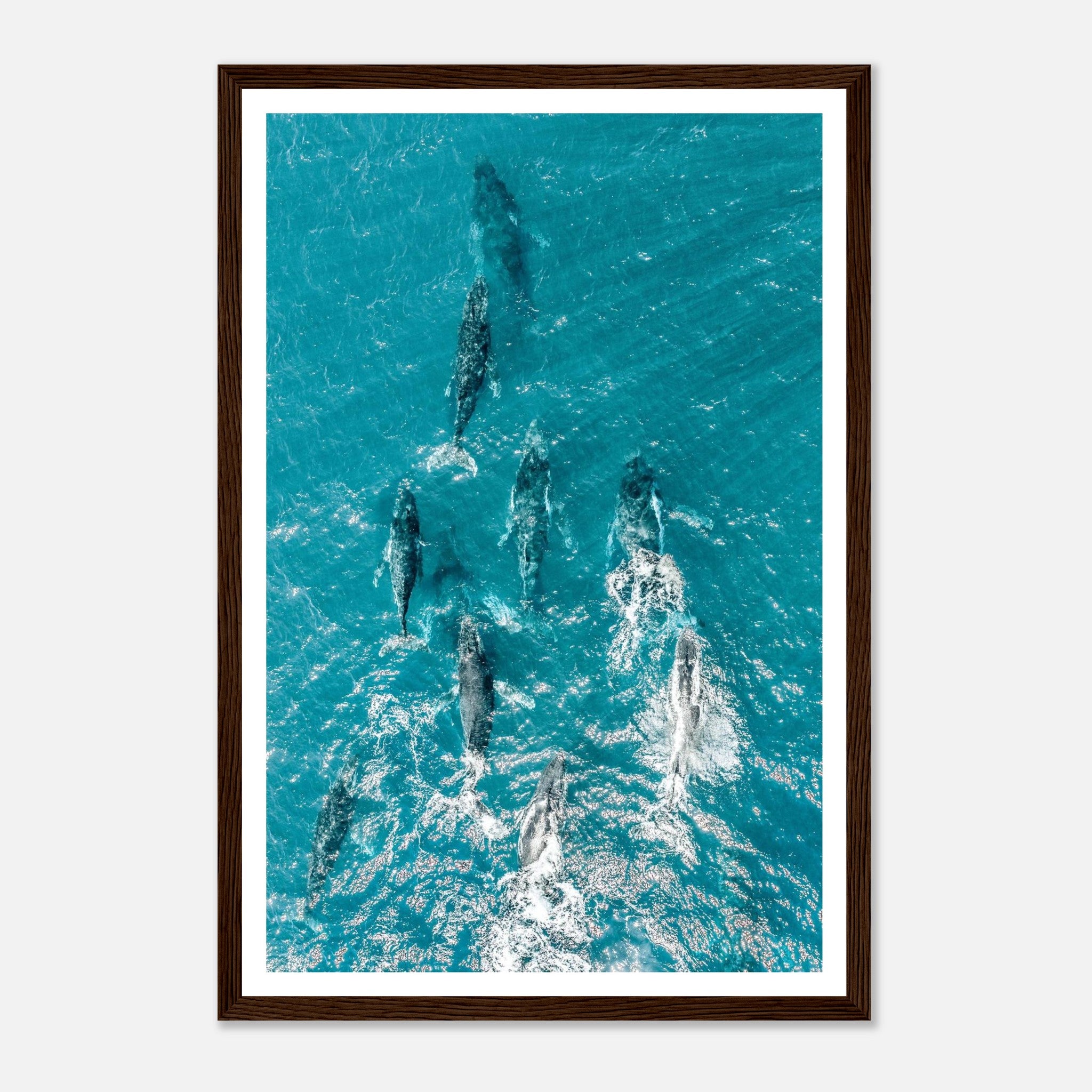 1c6eca87-6a5f-4737-8e05-07c9f6c720a7