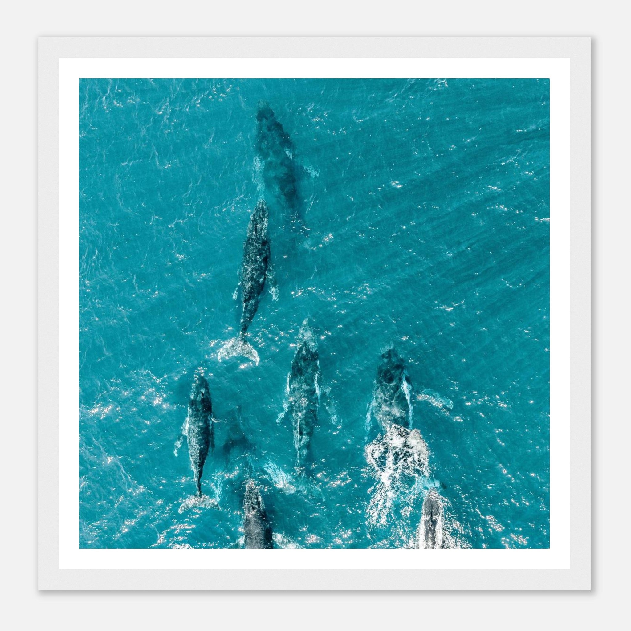 20957877-1c43-4e84-8897-8464601de43e