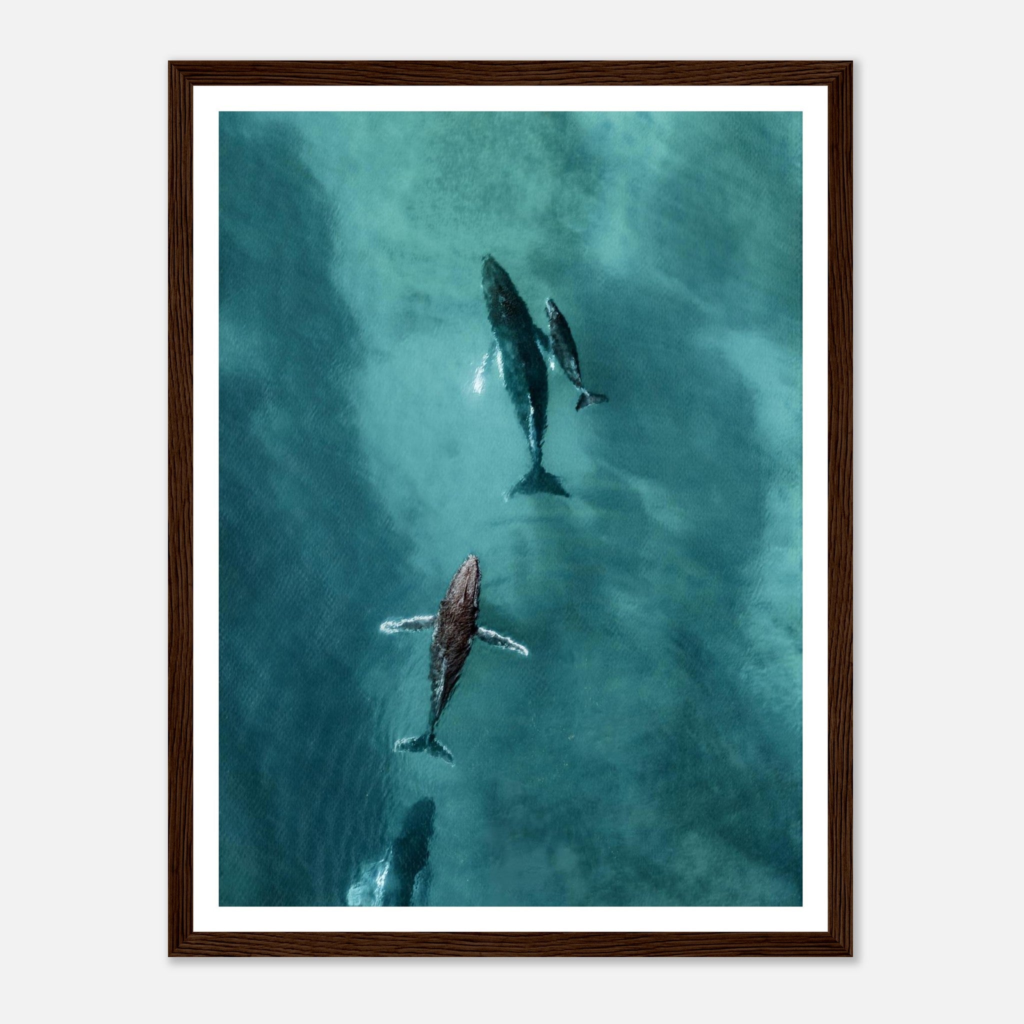 25c01cf4-d4f6-4054-8349-bb317bb5310e