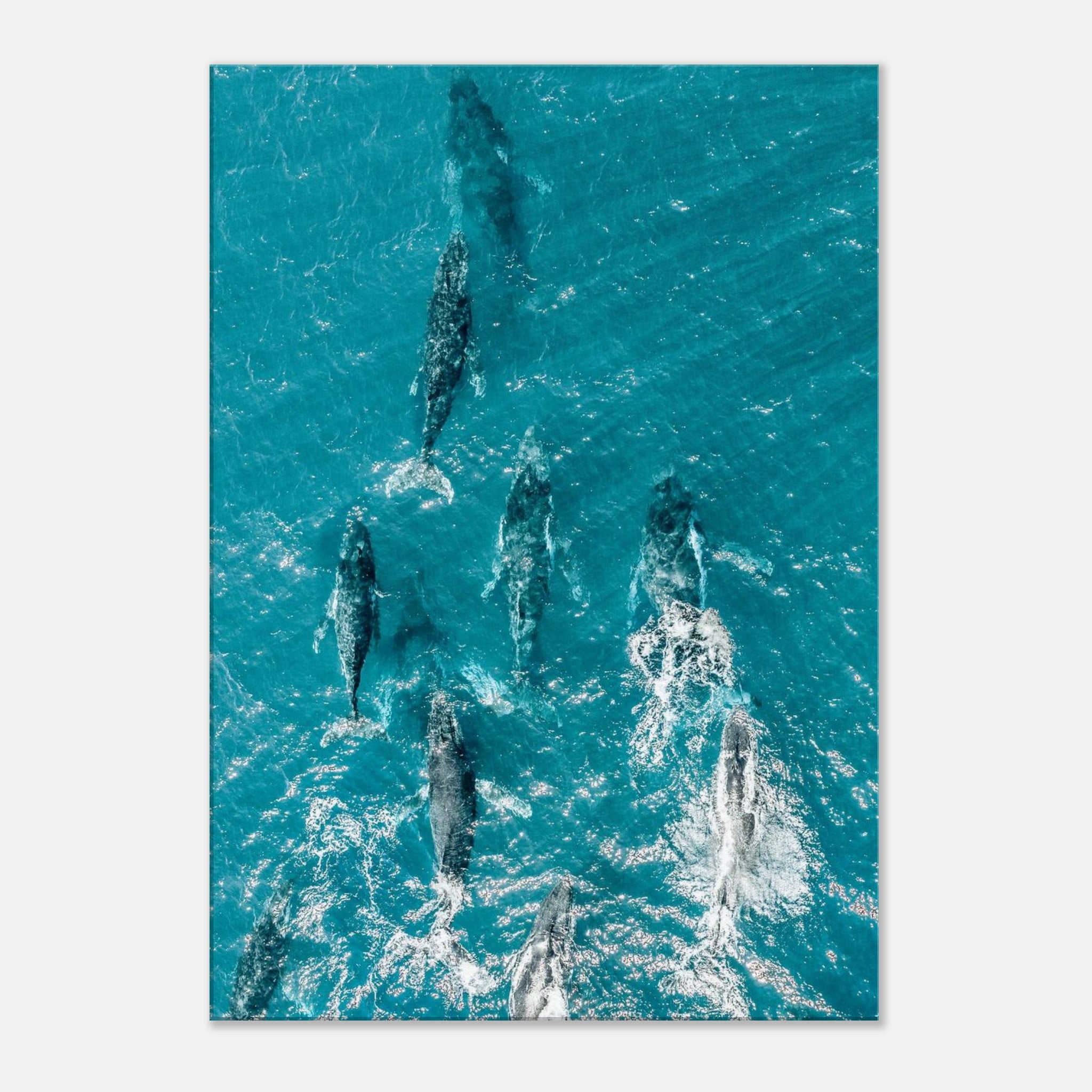 2c6c9874-4c7c-460f-83a1-ea2ad6e39744