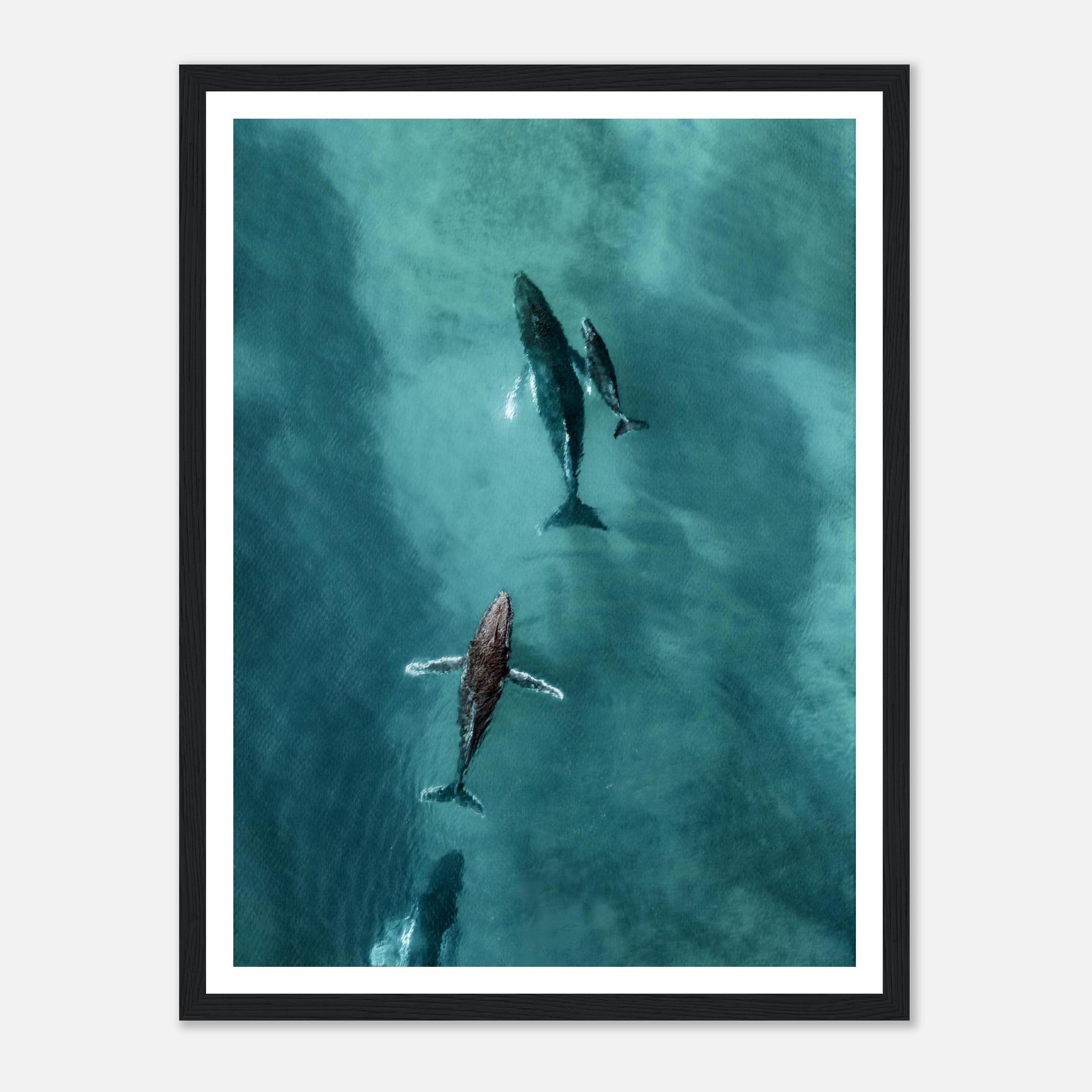 2d80fd73-2cf6-4533-a230-d08fcbf66294