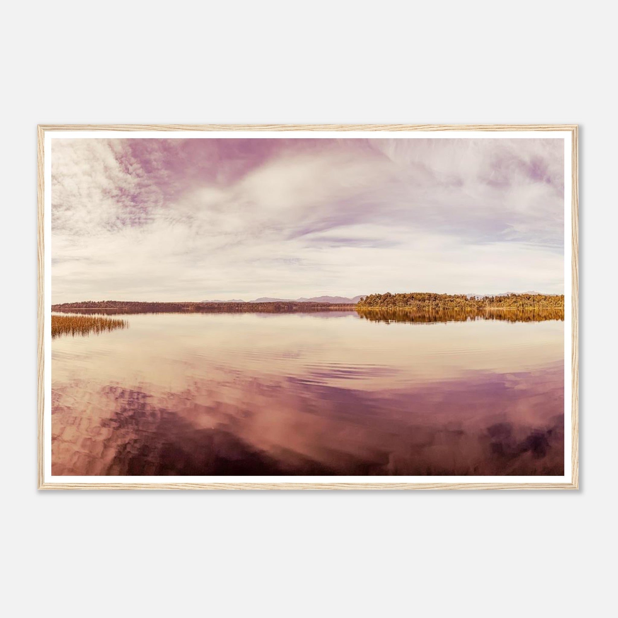 2e749504-166a-4d51-a42a-355089887b35