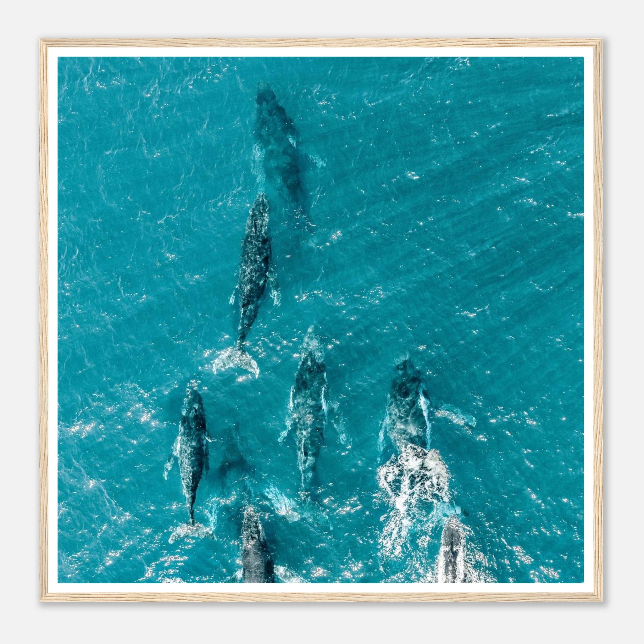 3074faea-b902-461e-9e1b-cd858719ad89