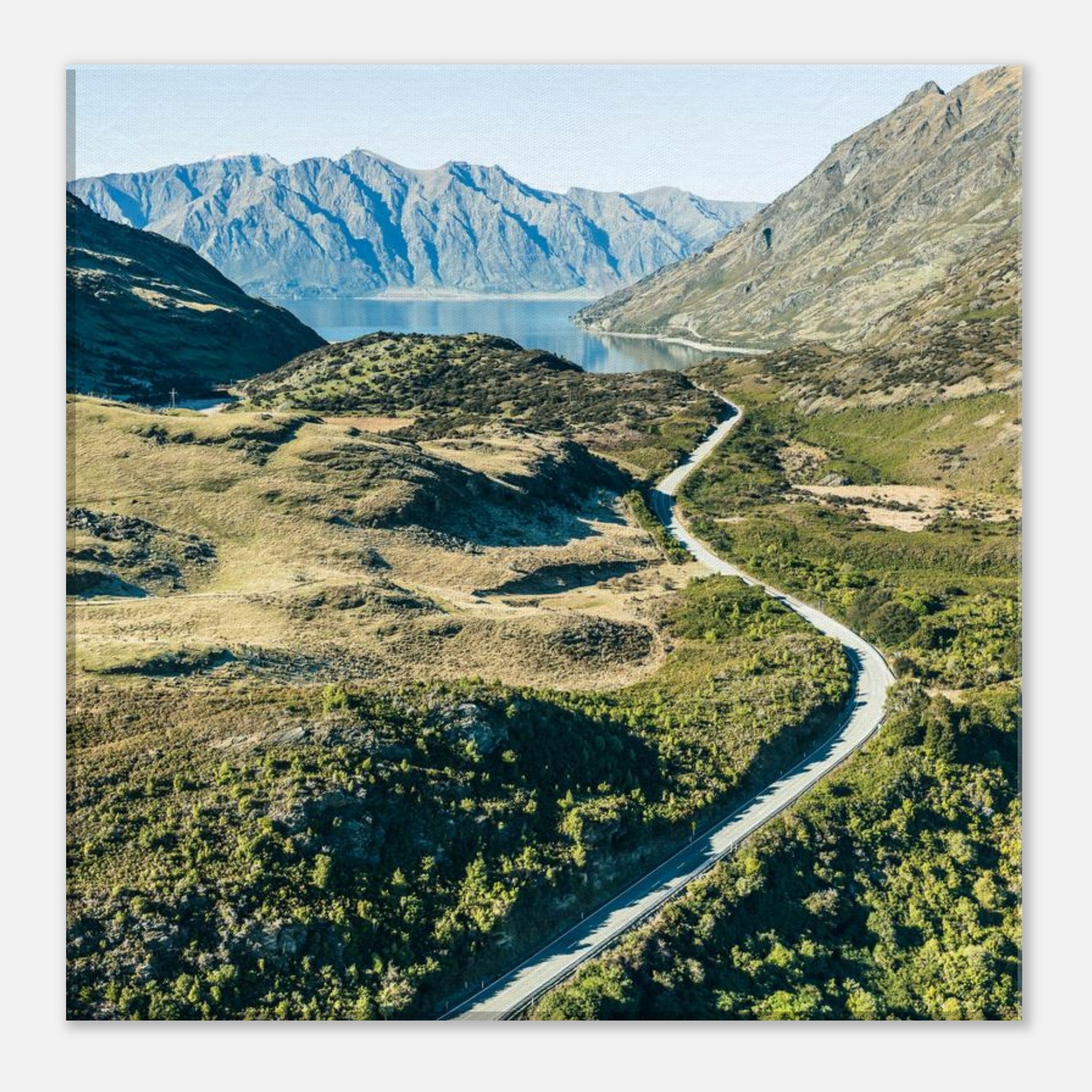 381c5d6a-6cc2-4cf5-876a-1d7342c20073