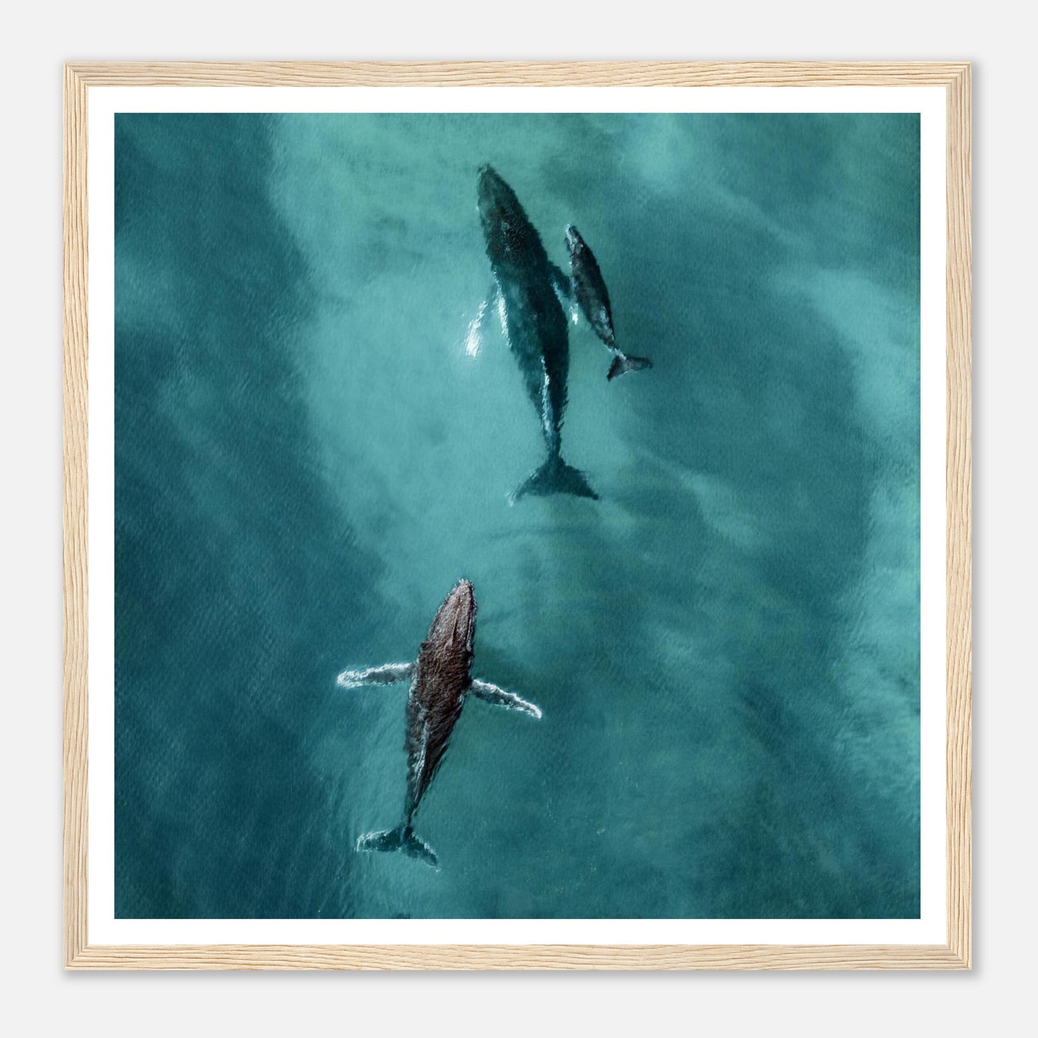 3a3994e5-c380-48b0-a1a3-a598a09c0d50