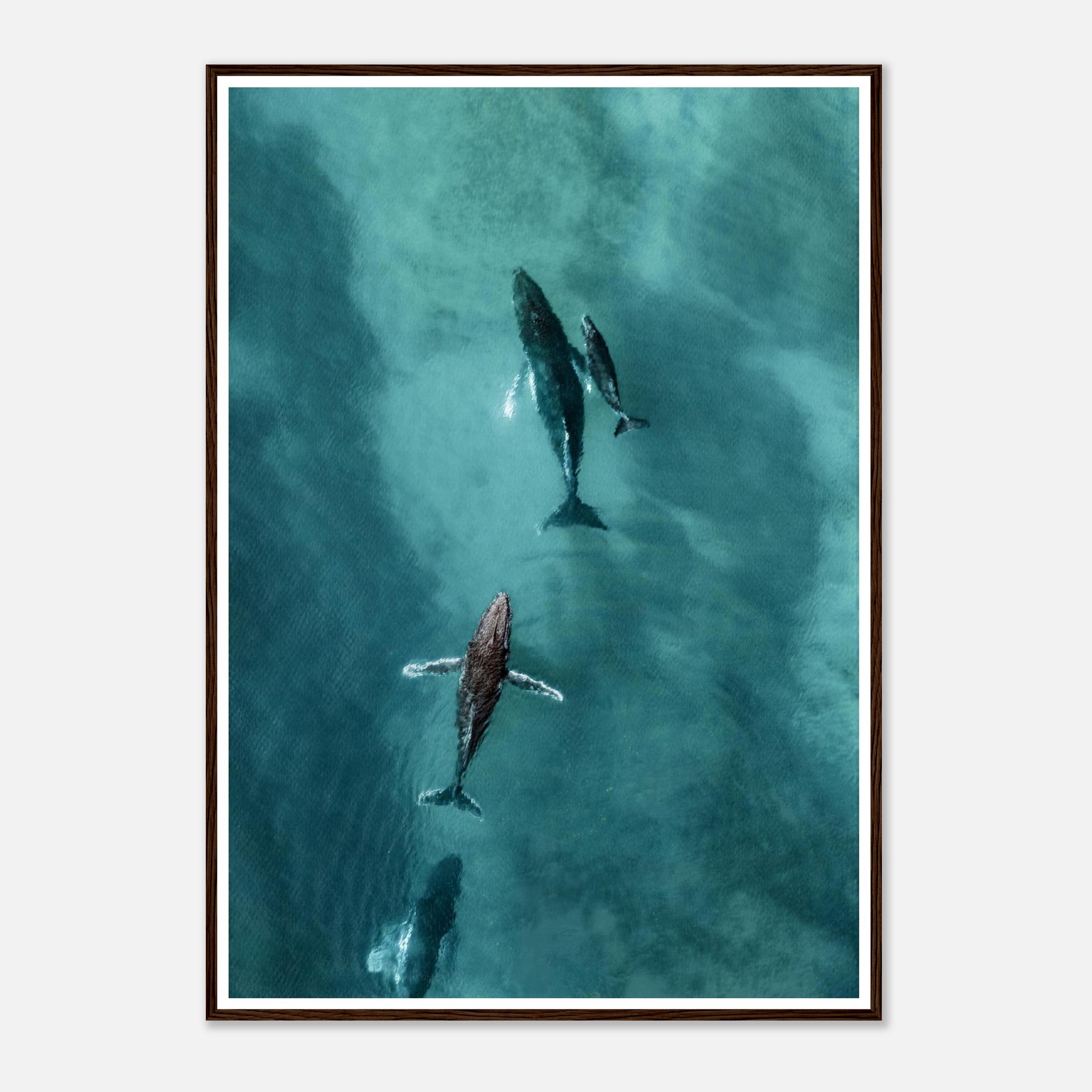 400acf03-cc30-4cf4-8e3f-bbe9e5a4cd3f