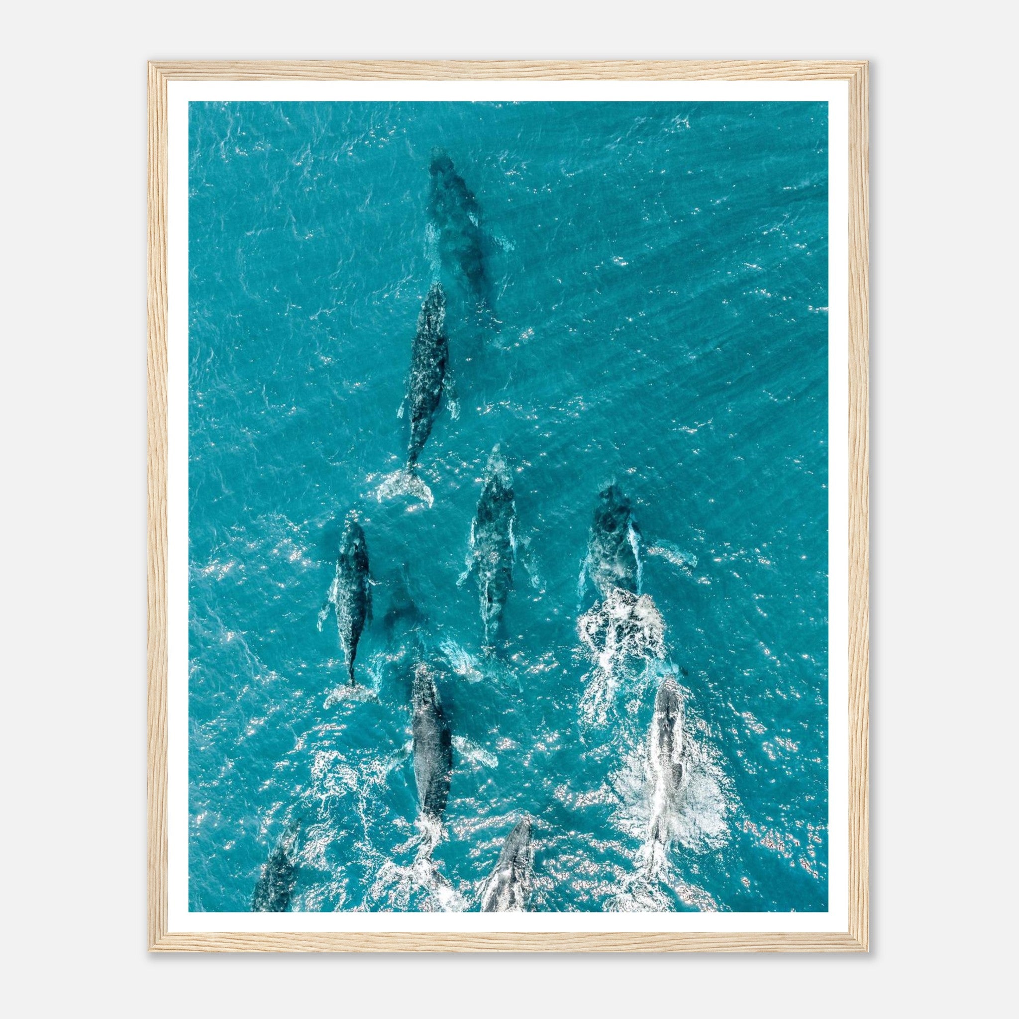 4231d1be-709e-4a91-bffb-c0b989abdf33