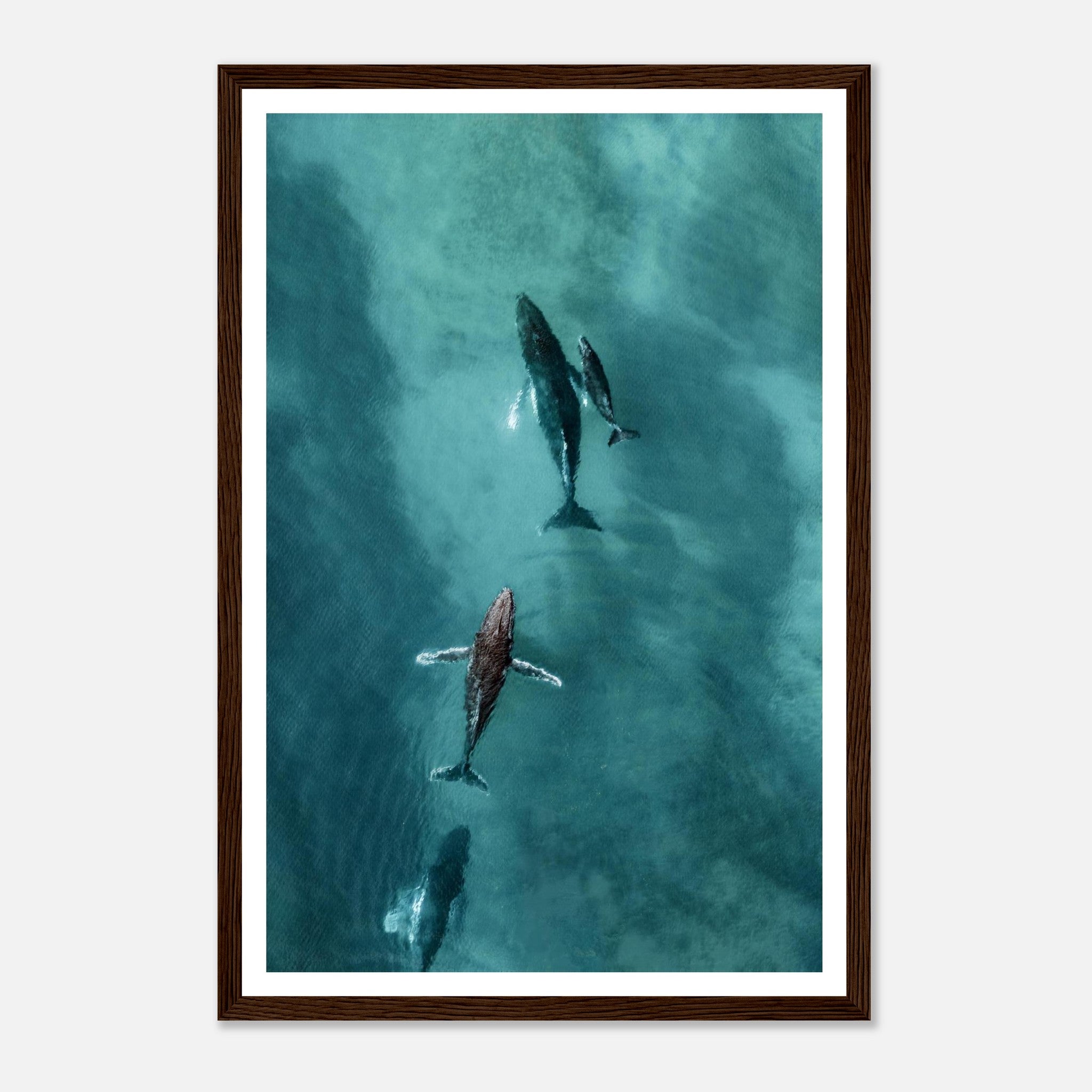 469fa6d4-917d-43f9-b389-d6a97256926b