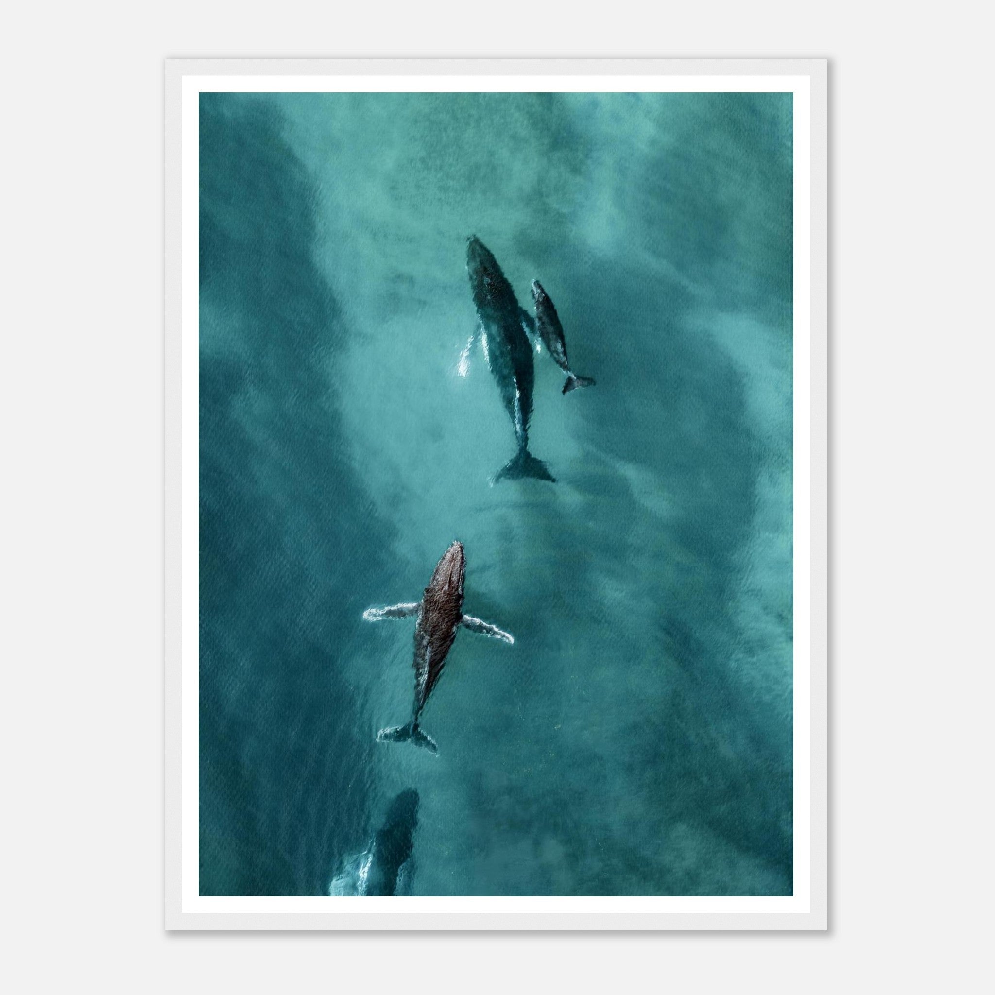 47babbb6-93c1-415e-97c3-610c512a7bc6