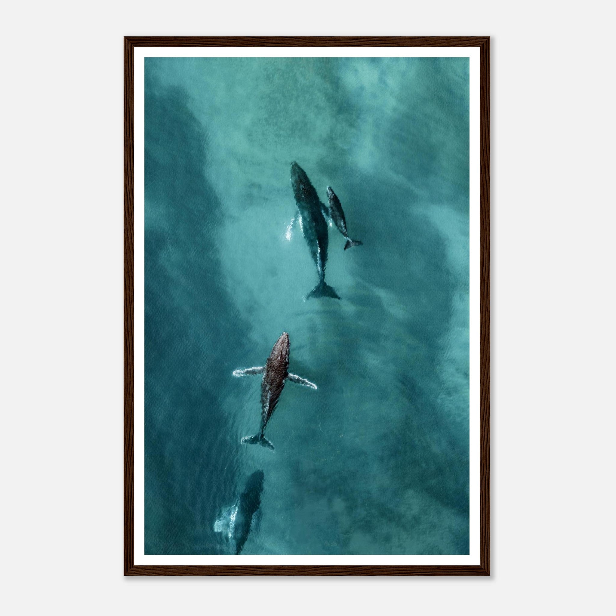 540cd31b-a35d-4f84-bd28-88008443e3f3