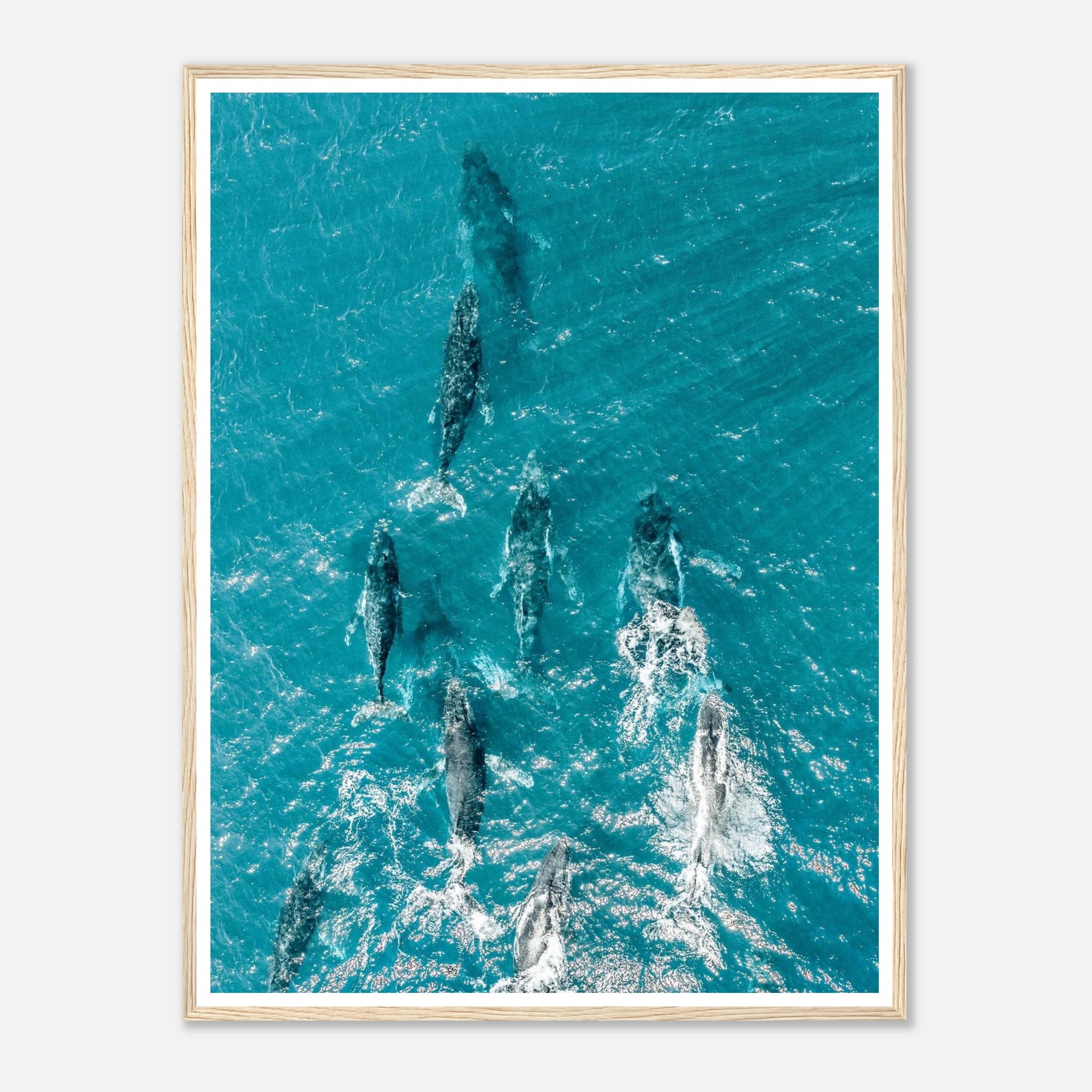 541ddd8a-f97b-4f9d-9bd4-51d9ef6861ff