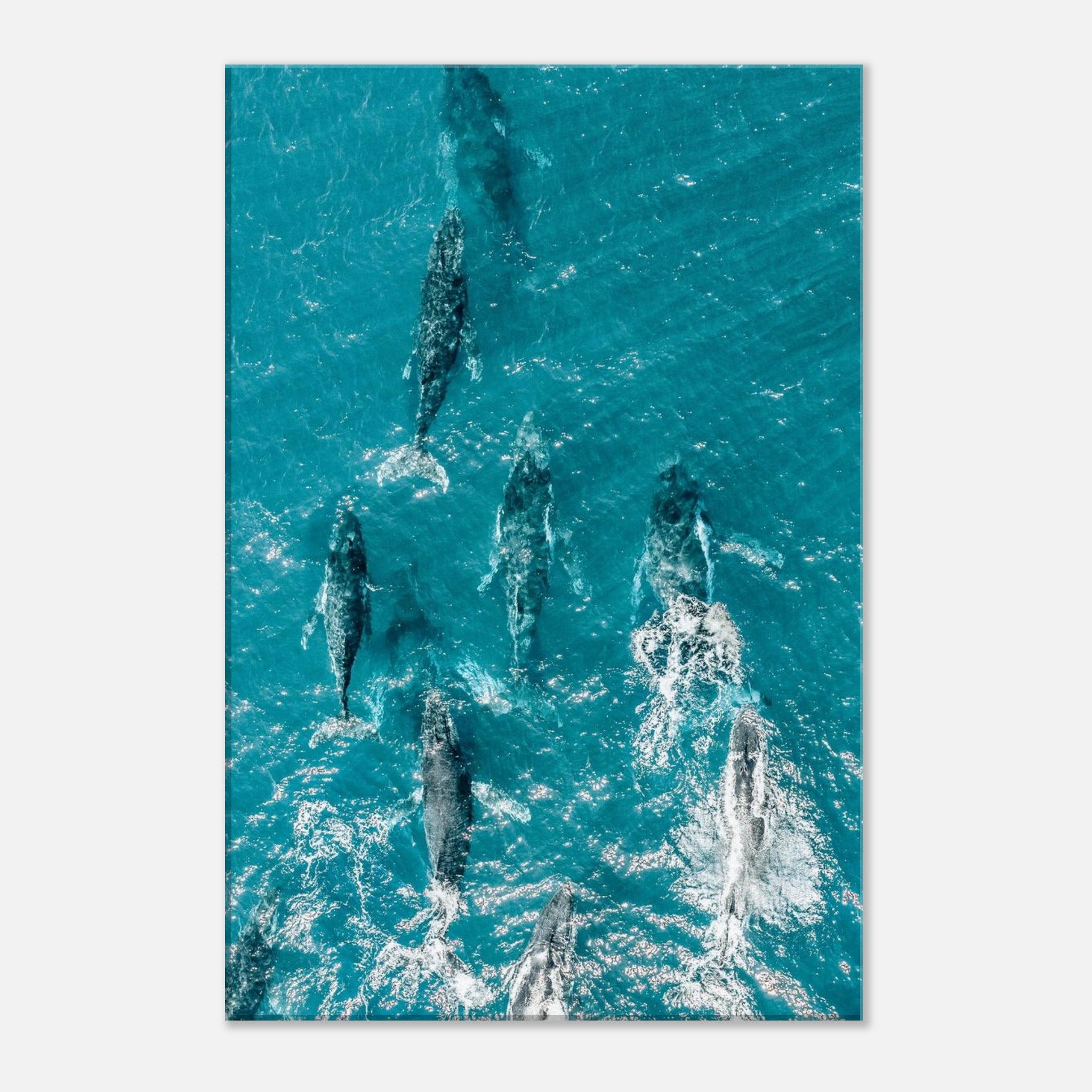 5e856b03-9cd6-4415-b125-7a1e14c9893c