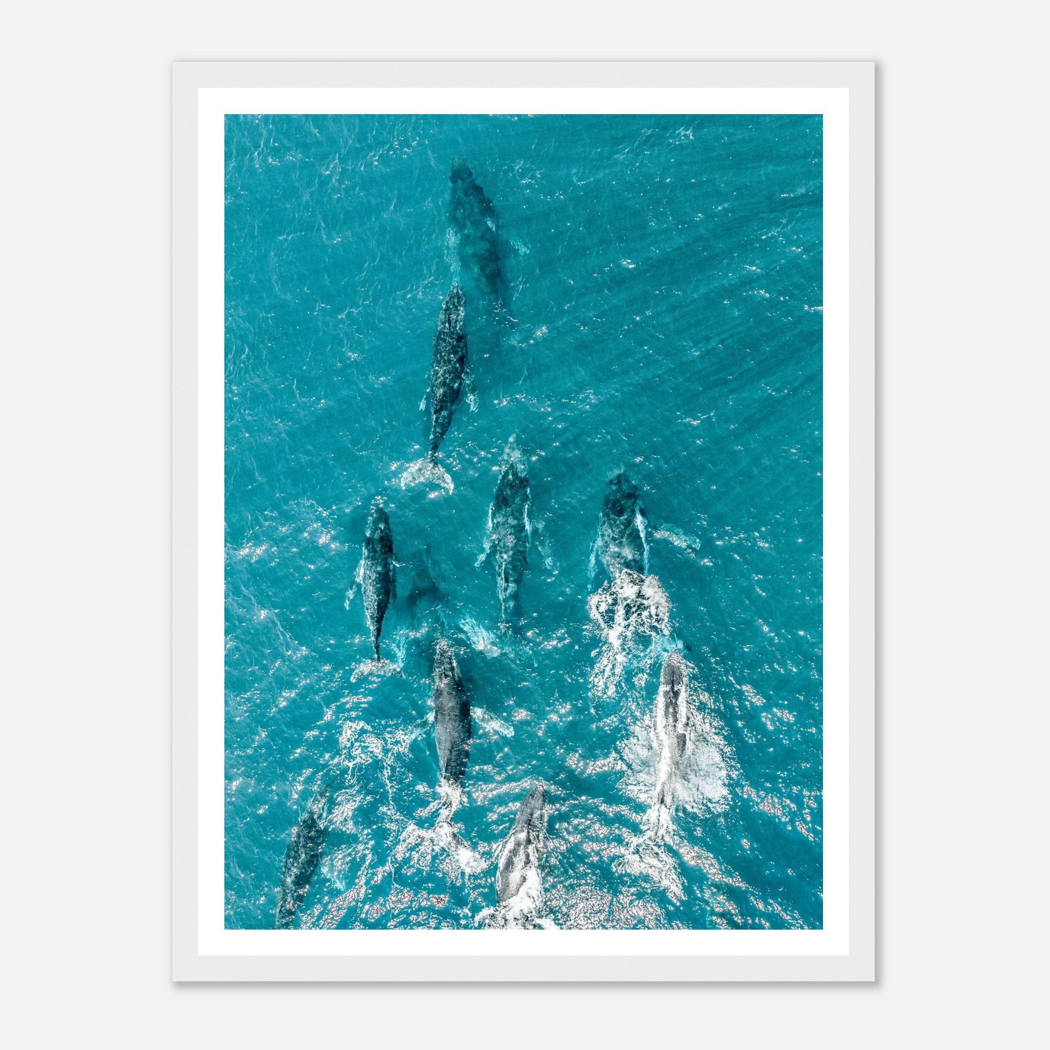 604afb15-3d02-4500-8eef-538b5b3fe009