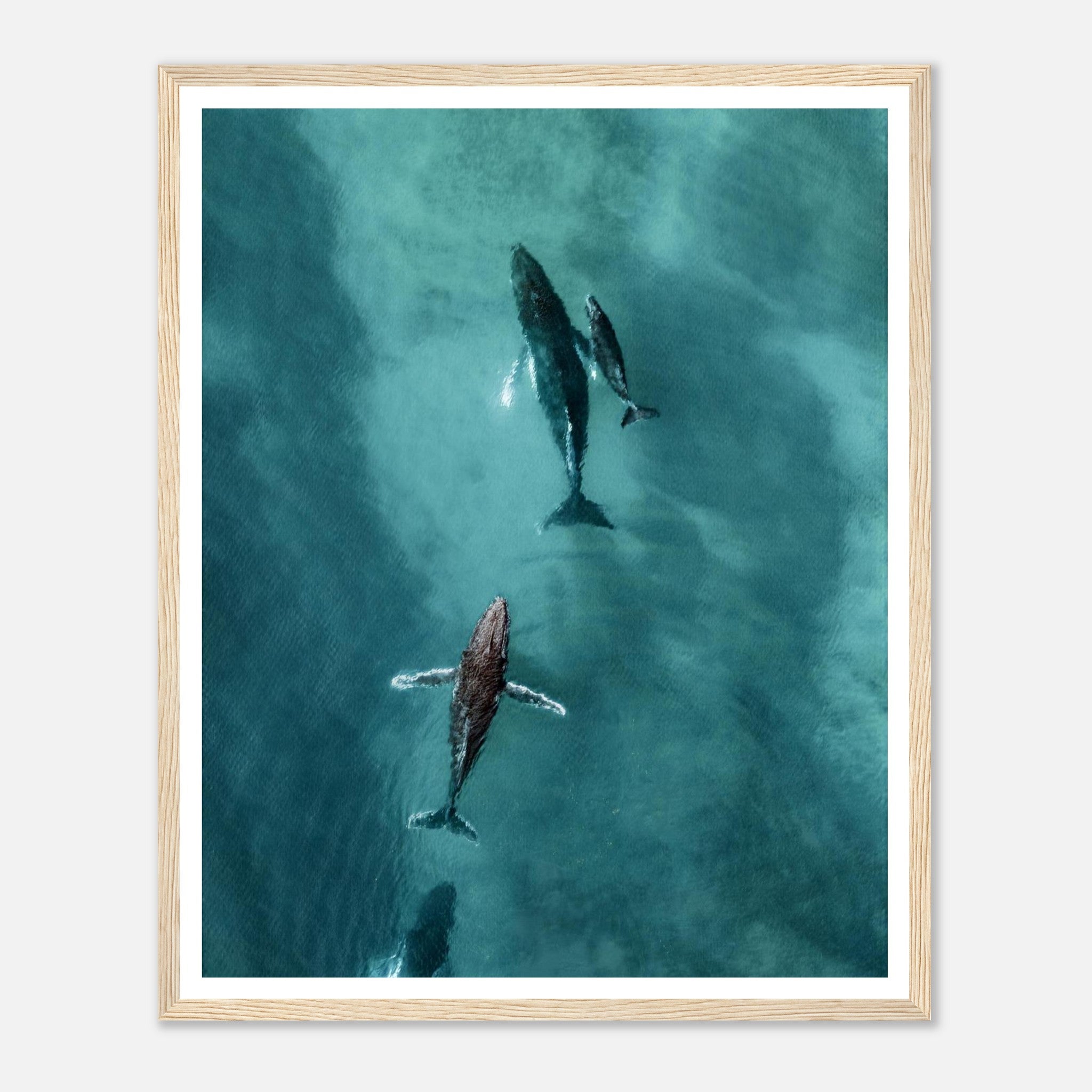 64251ad0-6fad-4055-bdb8-9dc82c4e4409