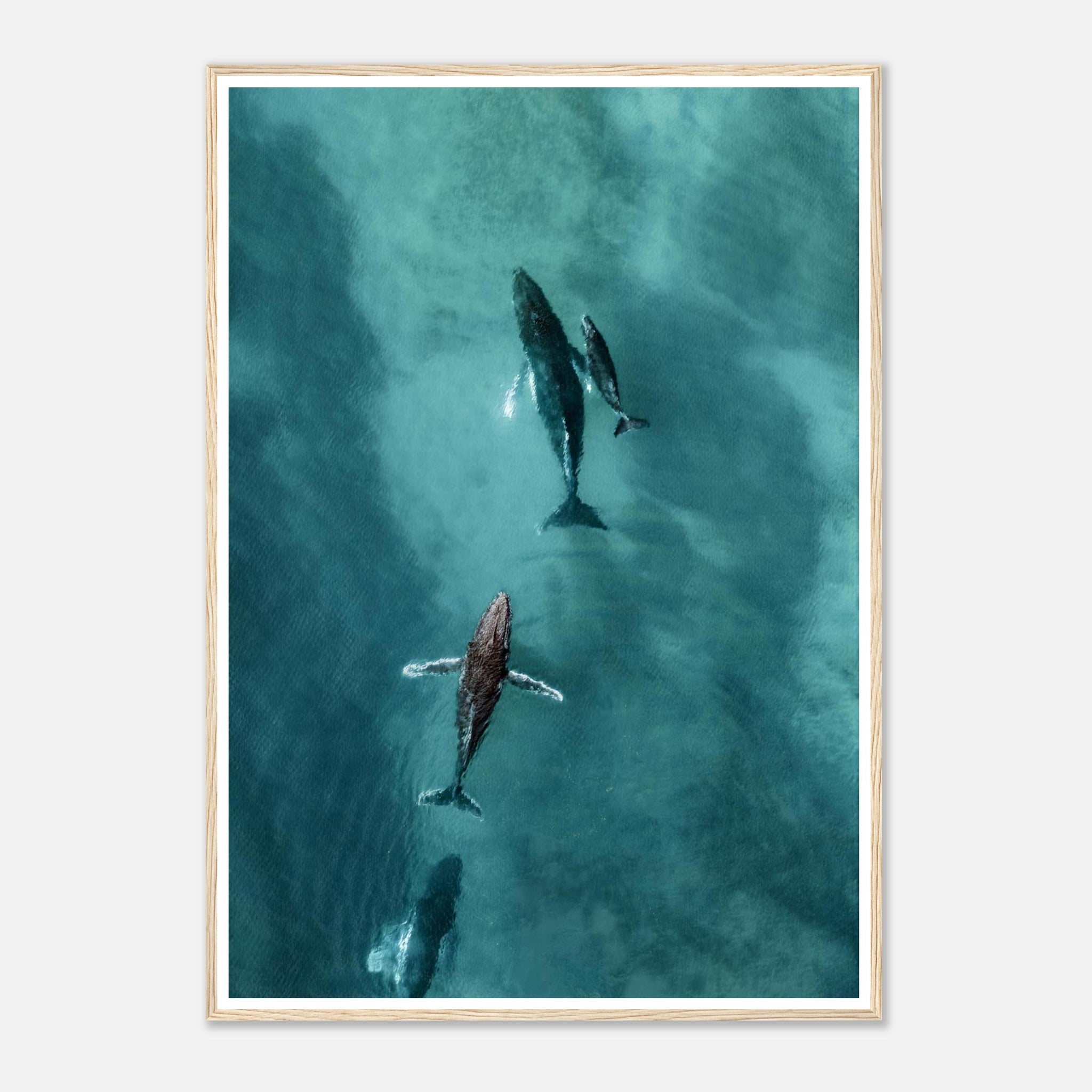 64edb592-9000-41d8-a363-10b1a2abc393