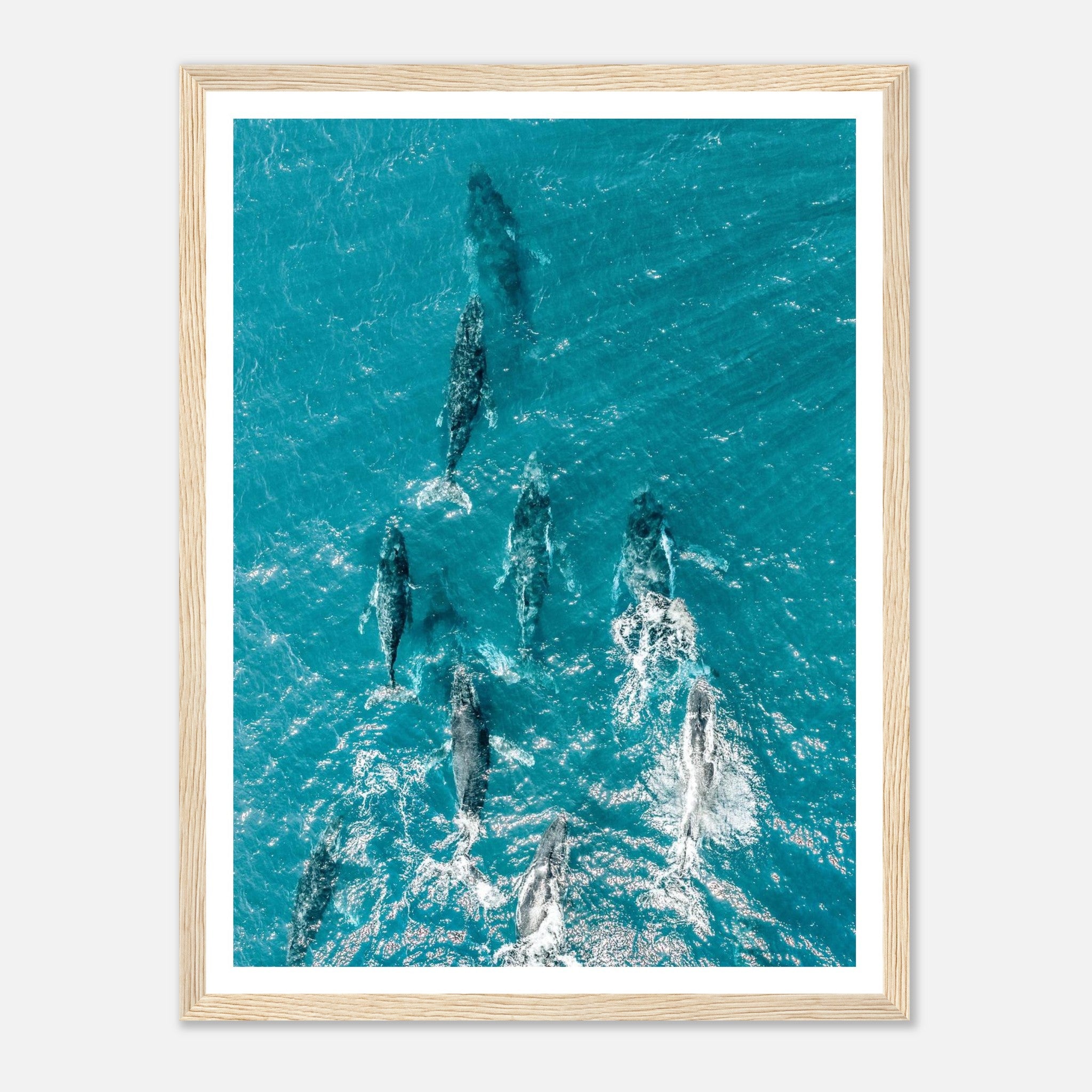 6508adb7-b3af-416c-8f20-c601cf6d0078