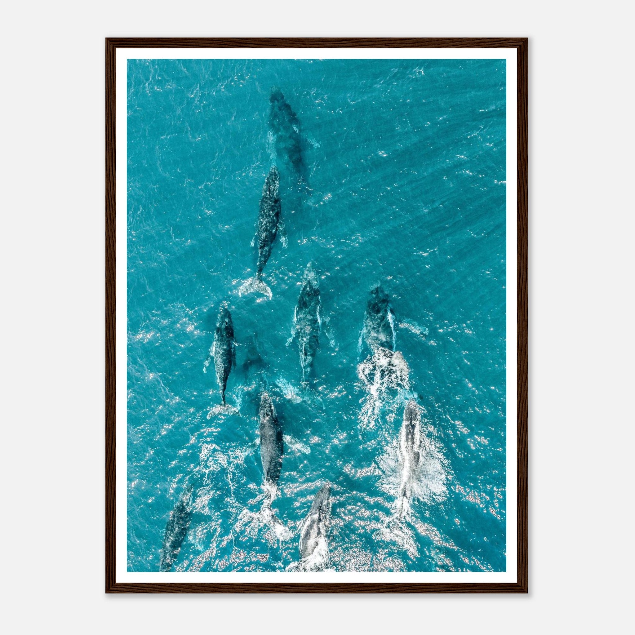 672d8d36-633a-48ce-82e4-526bd207bf77