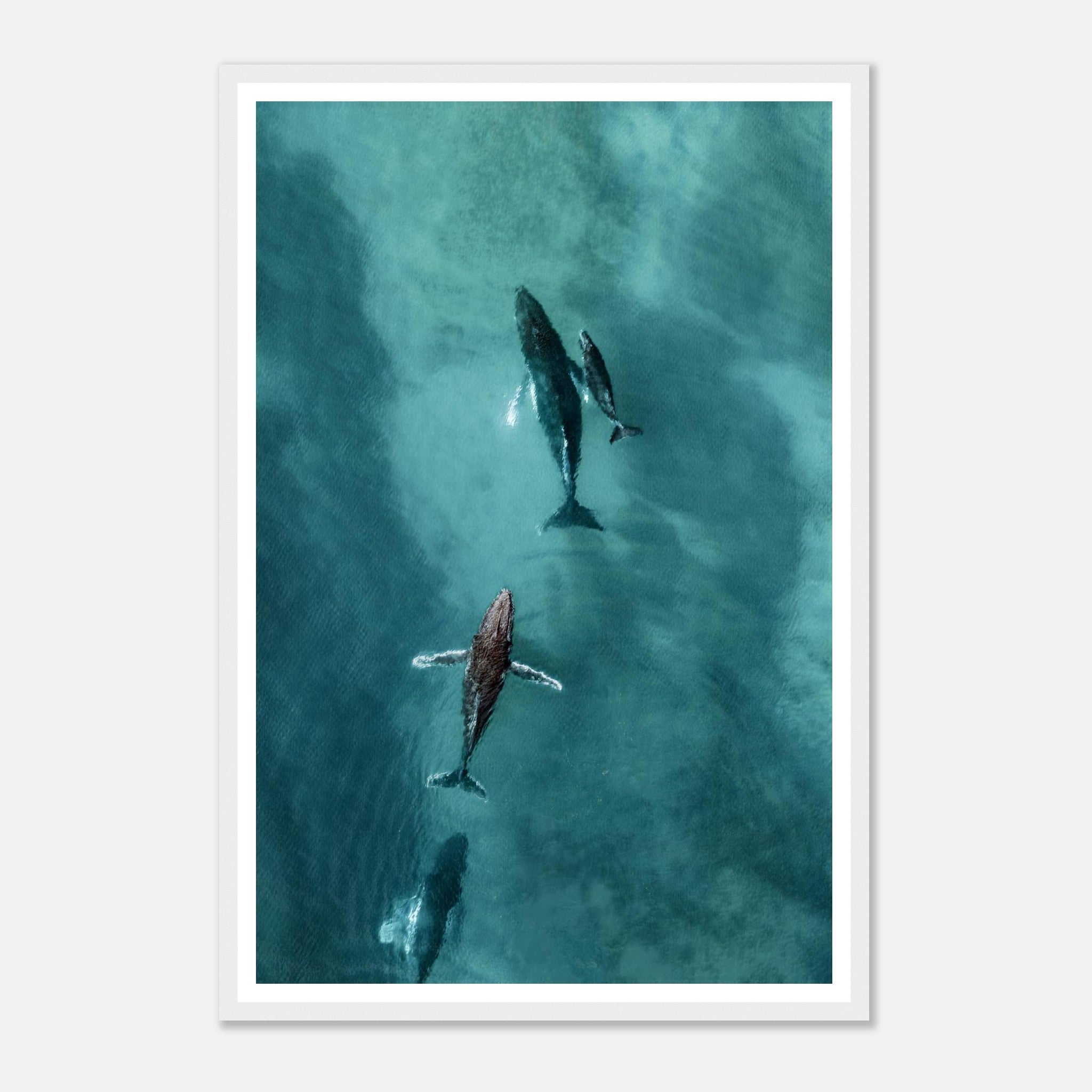 67d6e925-6c7e-4991-83b4-7d6ae6de090f