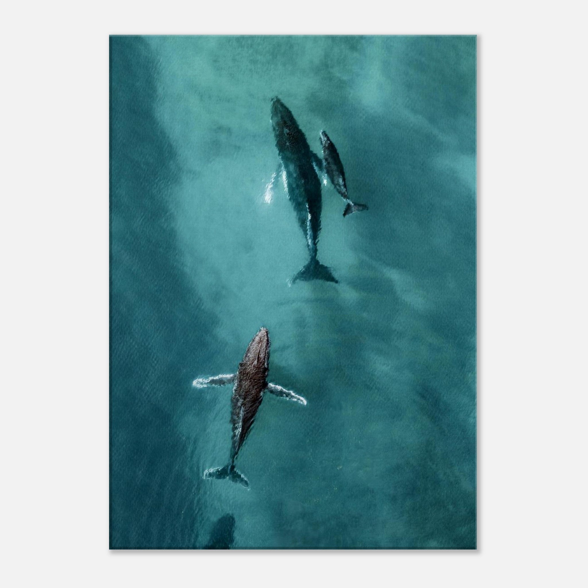 685ef7b4-7efa-41e7-b2a5-f21bc86b8a08