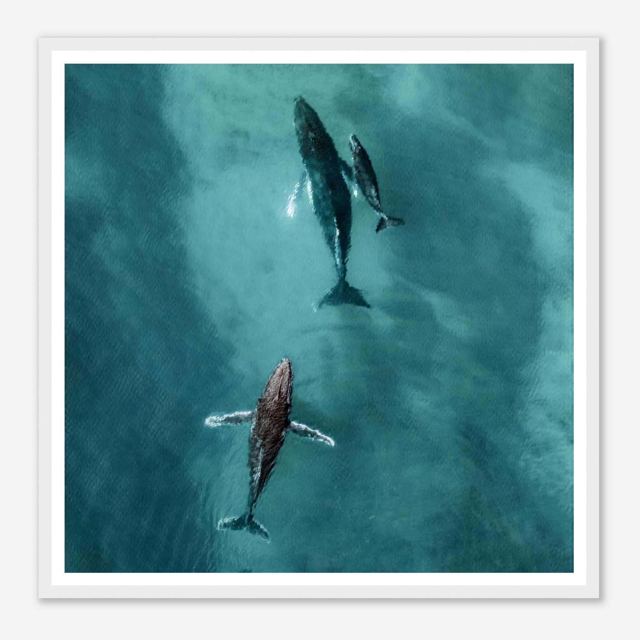 6b9cf378-bef1-4c04-a89b-509ea5b0189c