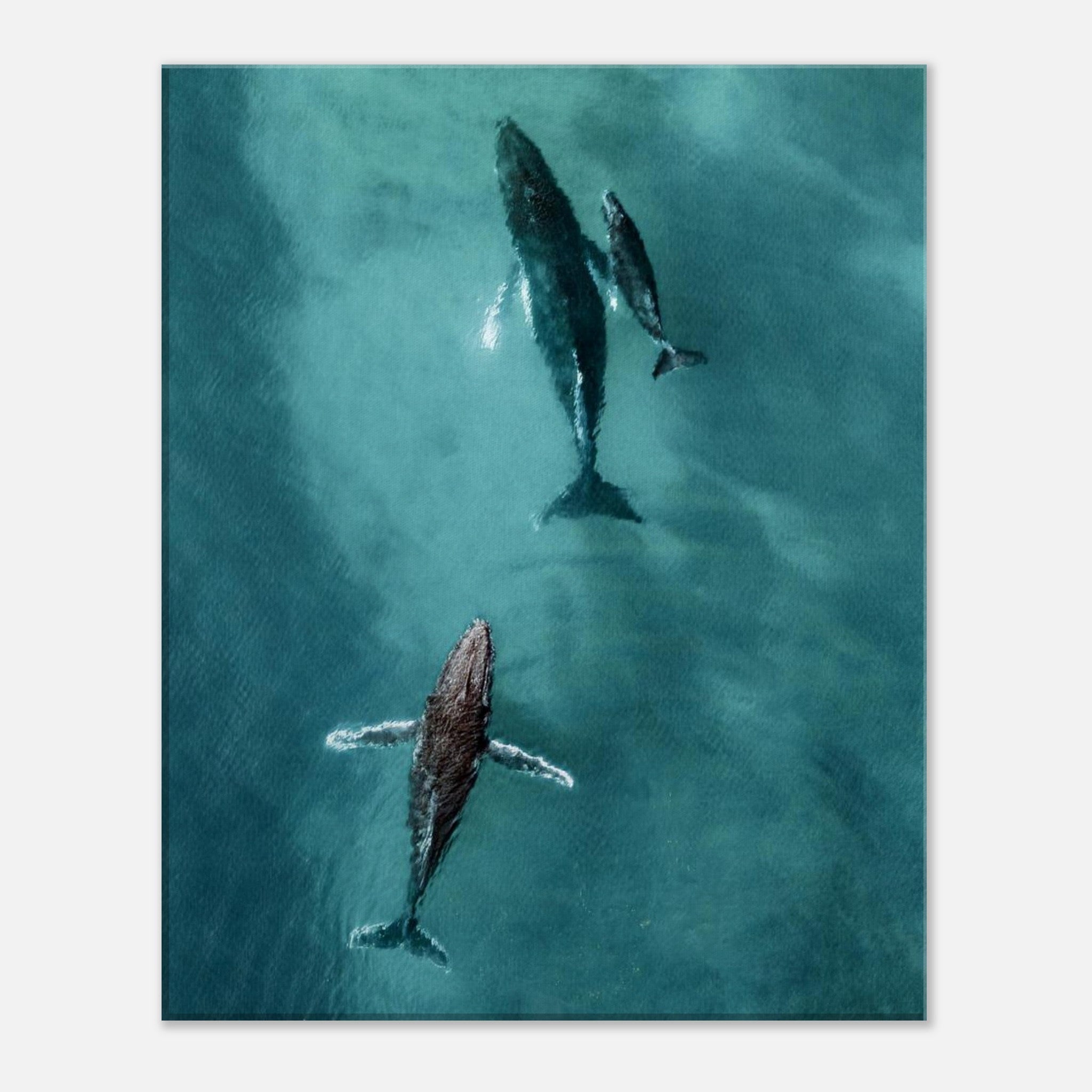 6c0a73cb-c87d-493f-acf1-997f39577aea