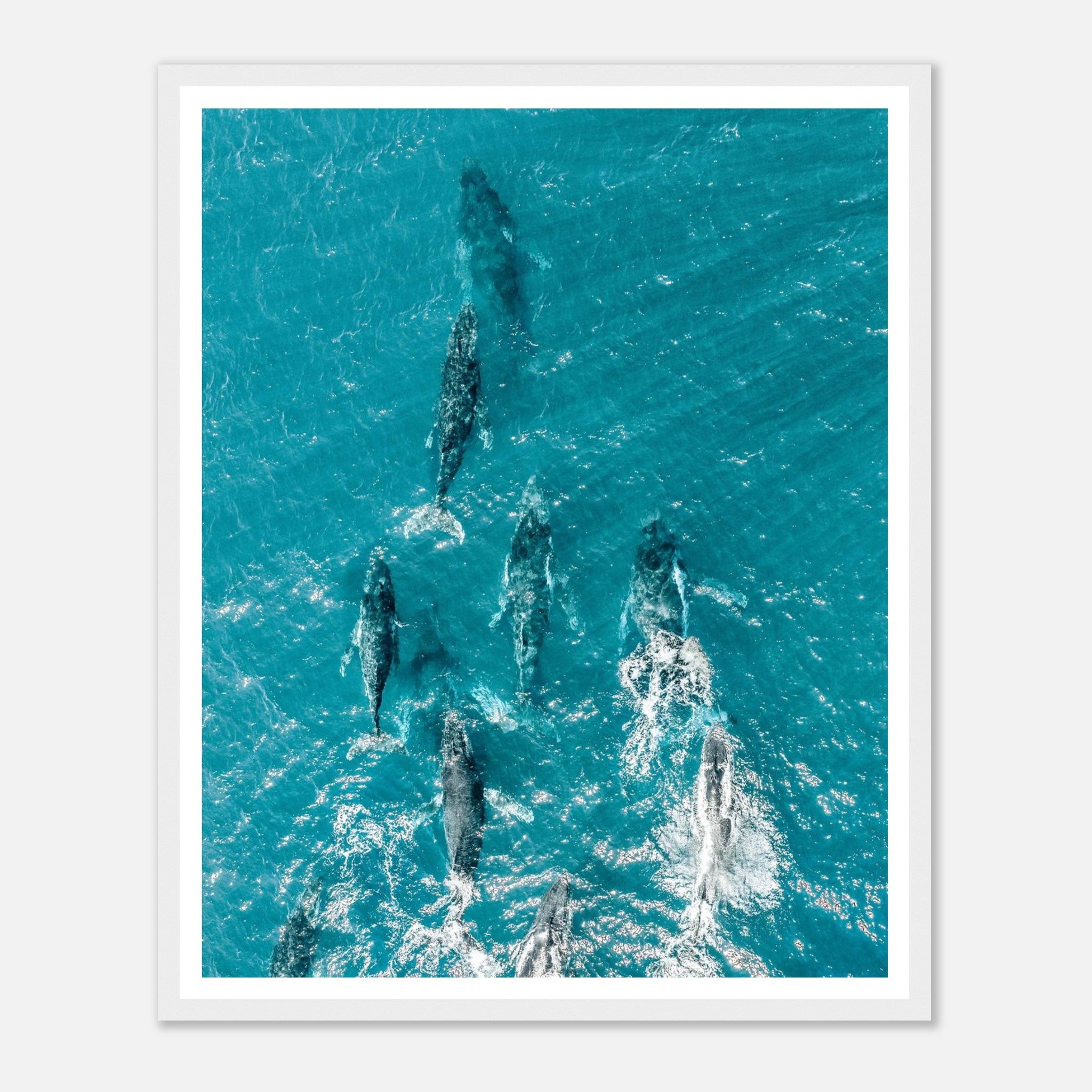 6c5dddbb-348e-4519-88ef-9262856d6e1c