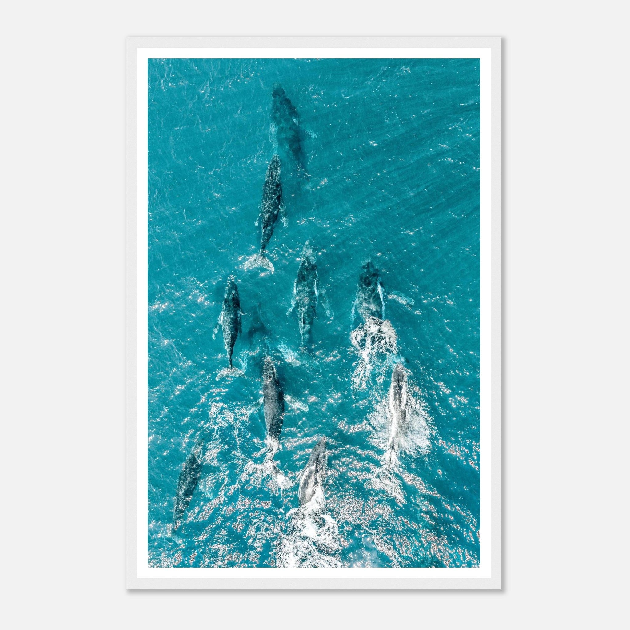 6e0bec47-44e5-446e-a6bc-f00c3617705c