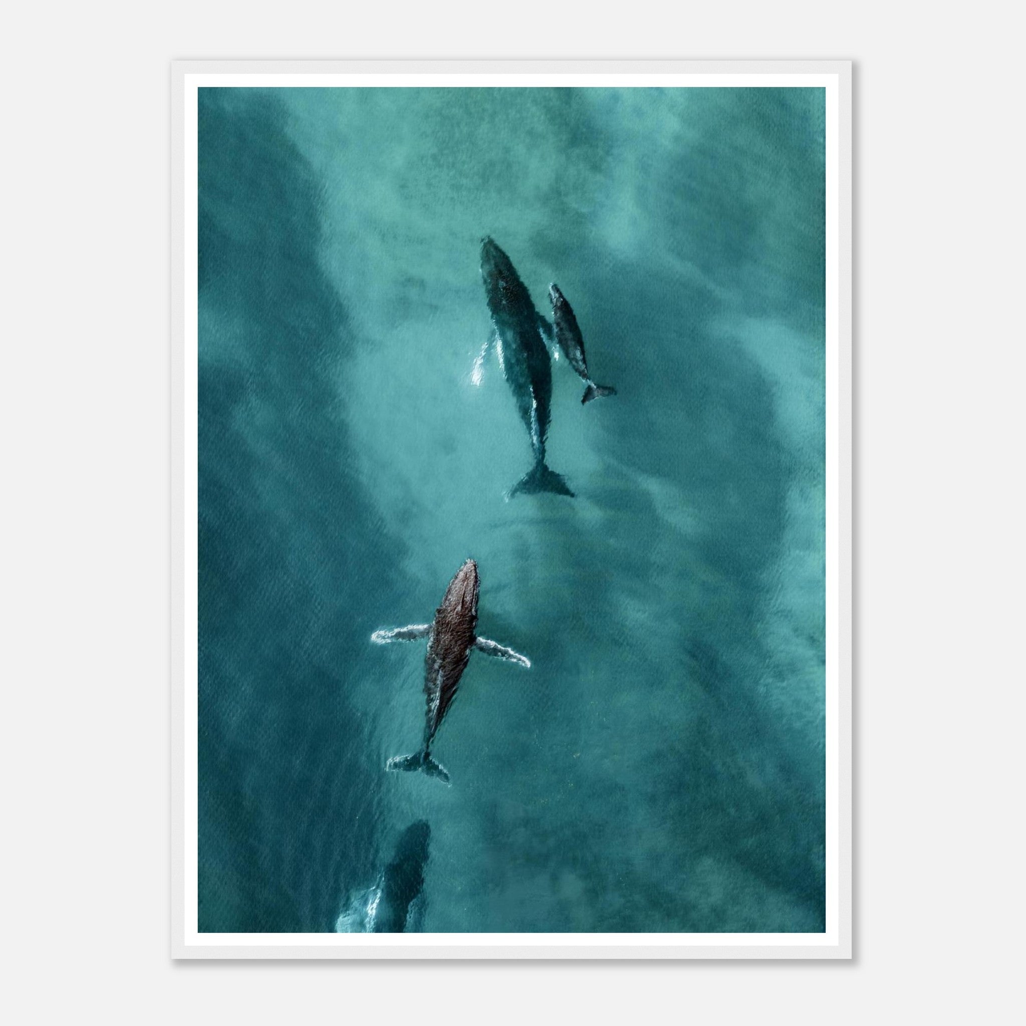 6f518602-3b1d-46b9-8ae1-21995db34def