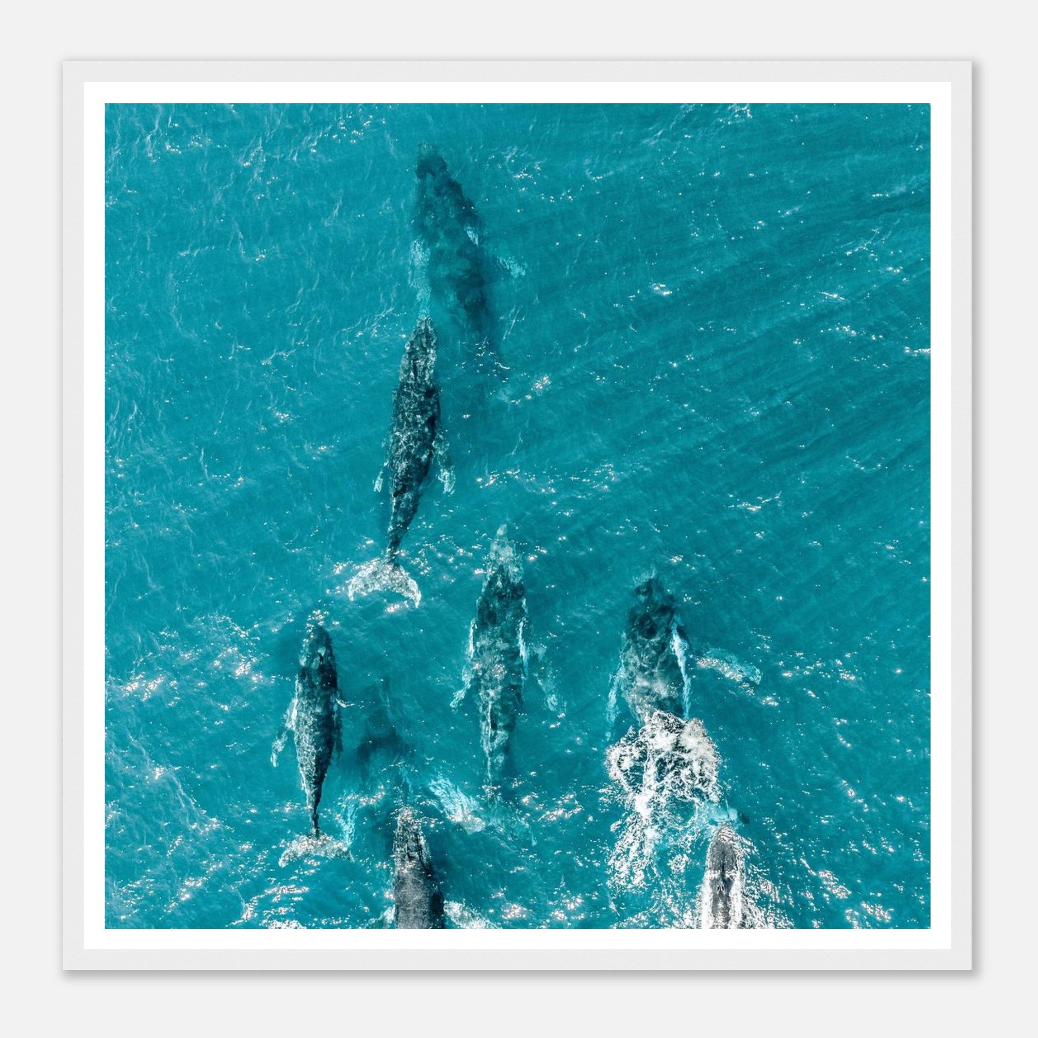 7065cfcc-98e5-4e4a-89d2-1a70578e168b