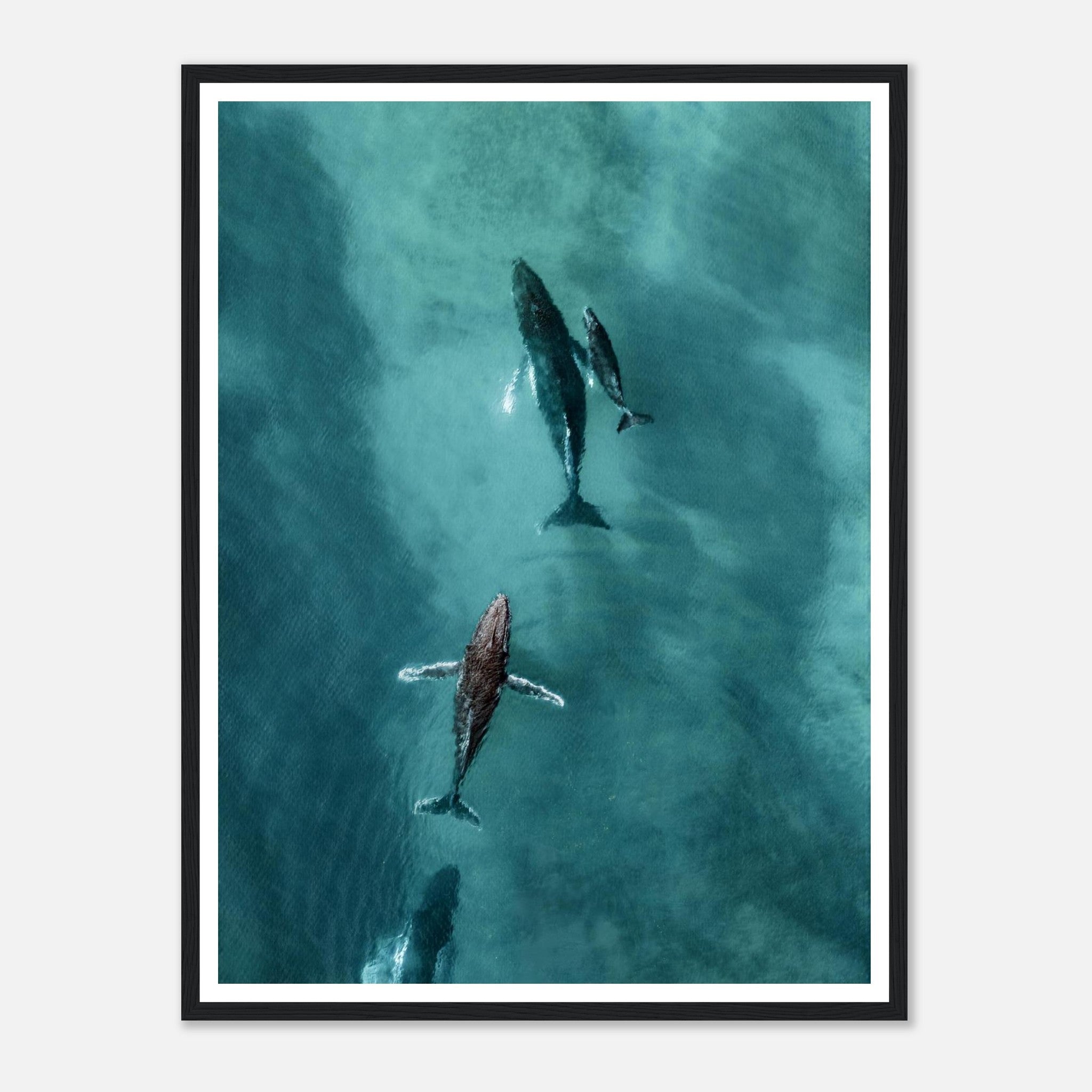 7102989d-d4bb-4cfd-a2be-1d6bd26df2d5