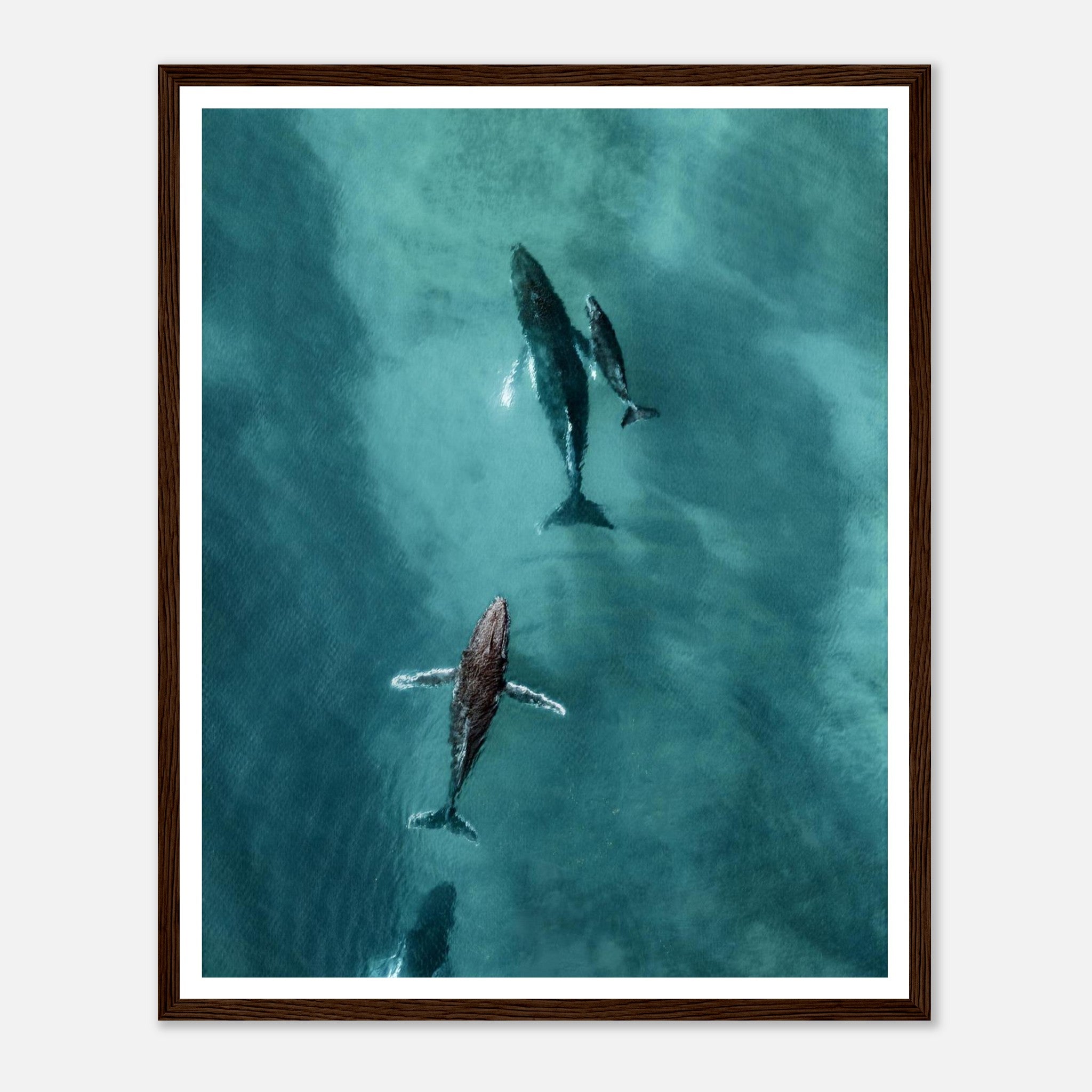 722a681b-a725-4676-8901-ad5f7968bfde