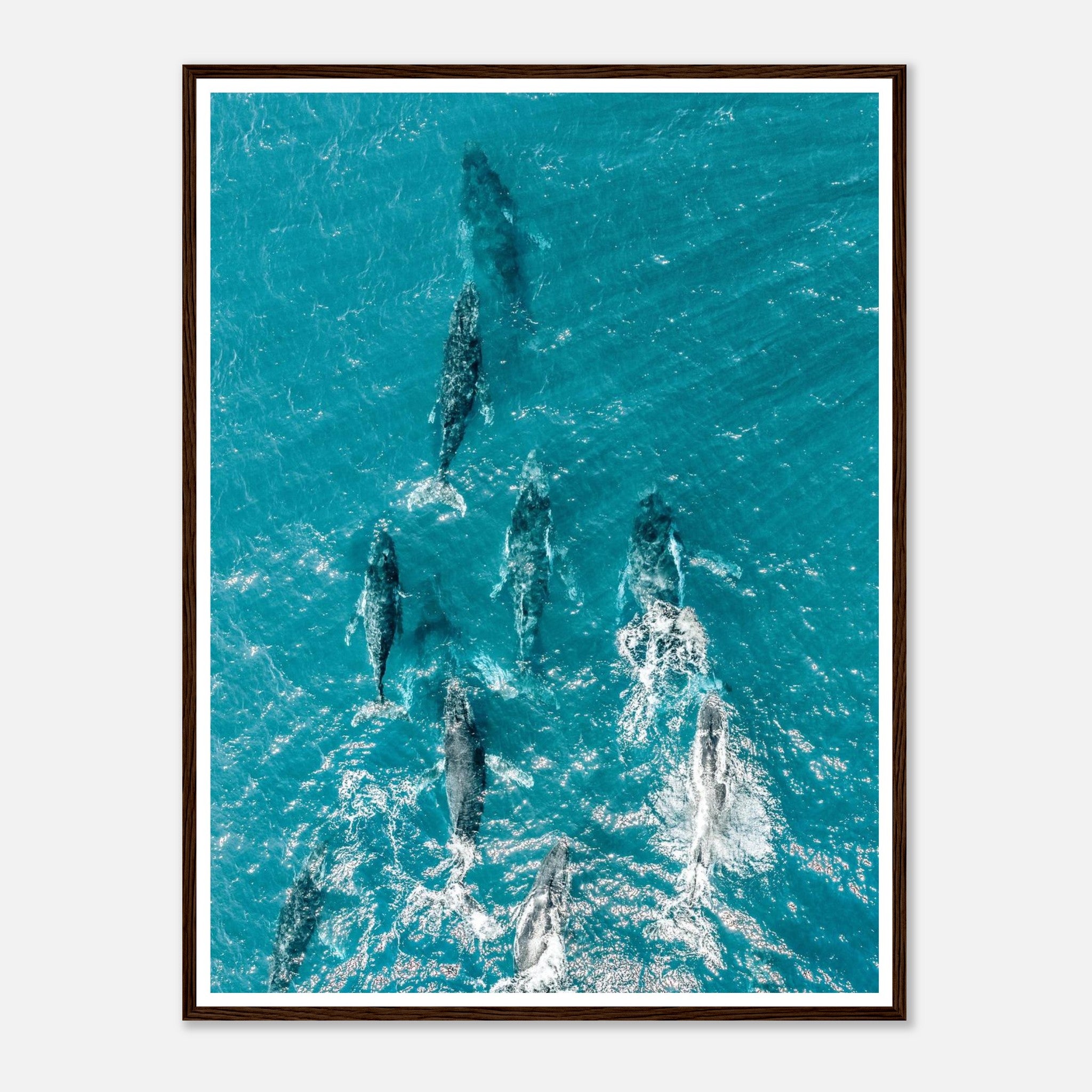 75036d7c-6038-4528-8d95-ee54dba409f7