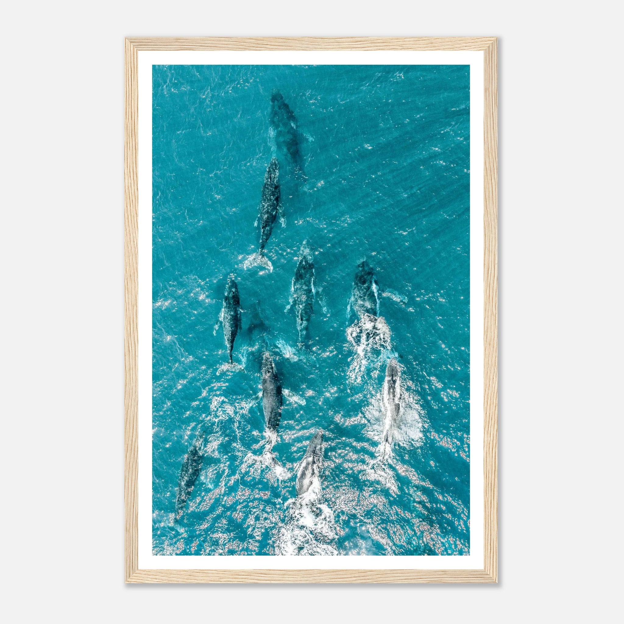 76117e98-8e69-40e0-8a55-82cdd6f15ece