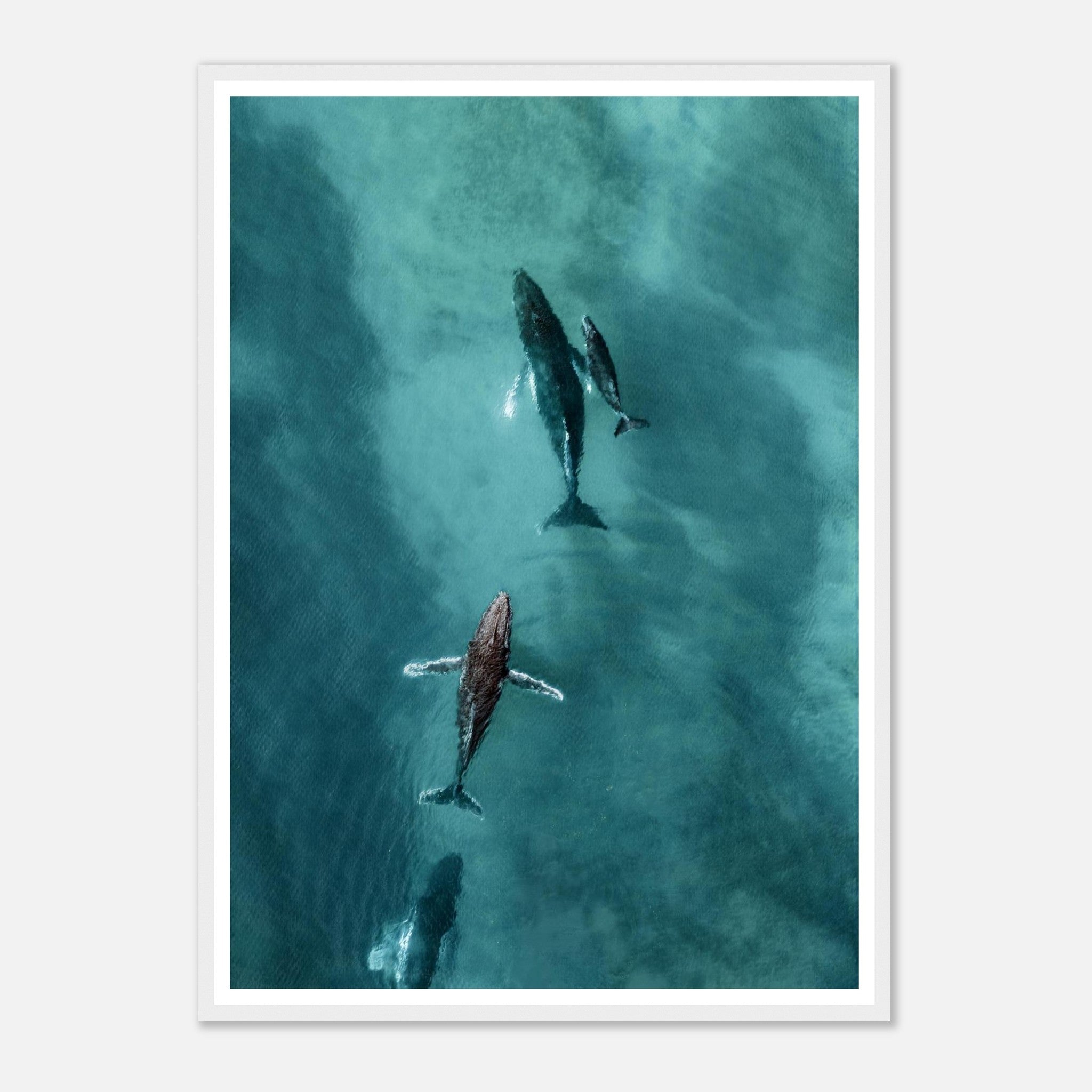 8262bbeb-eab0-4700-8e05-37fad9f4689a