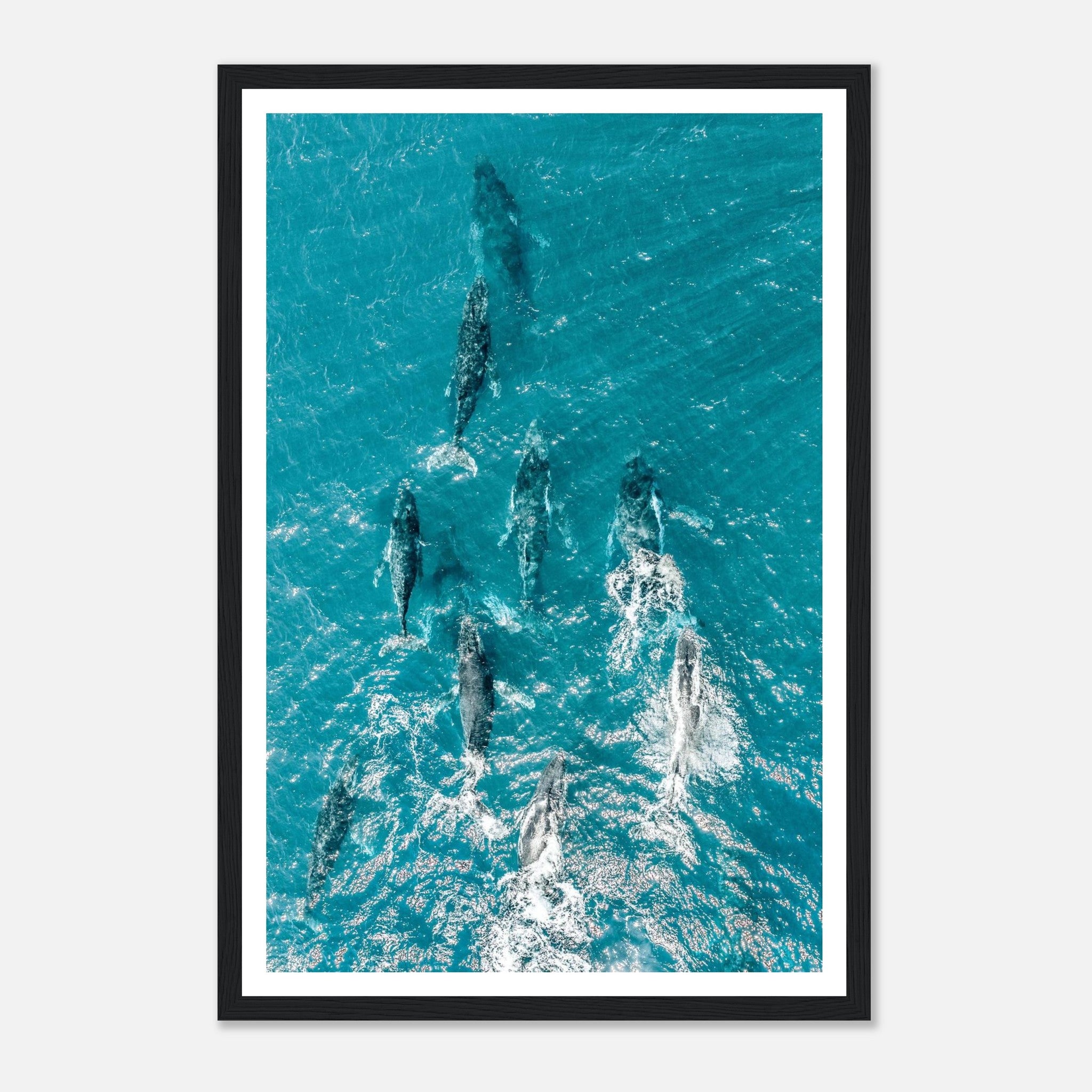 82d6c3bb-8a3a-411b-be9a-7f83f1f6e414