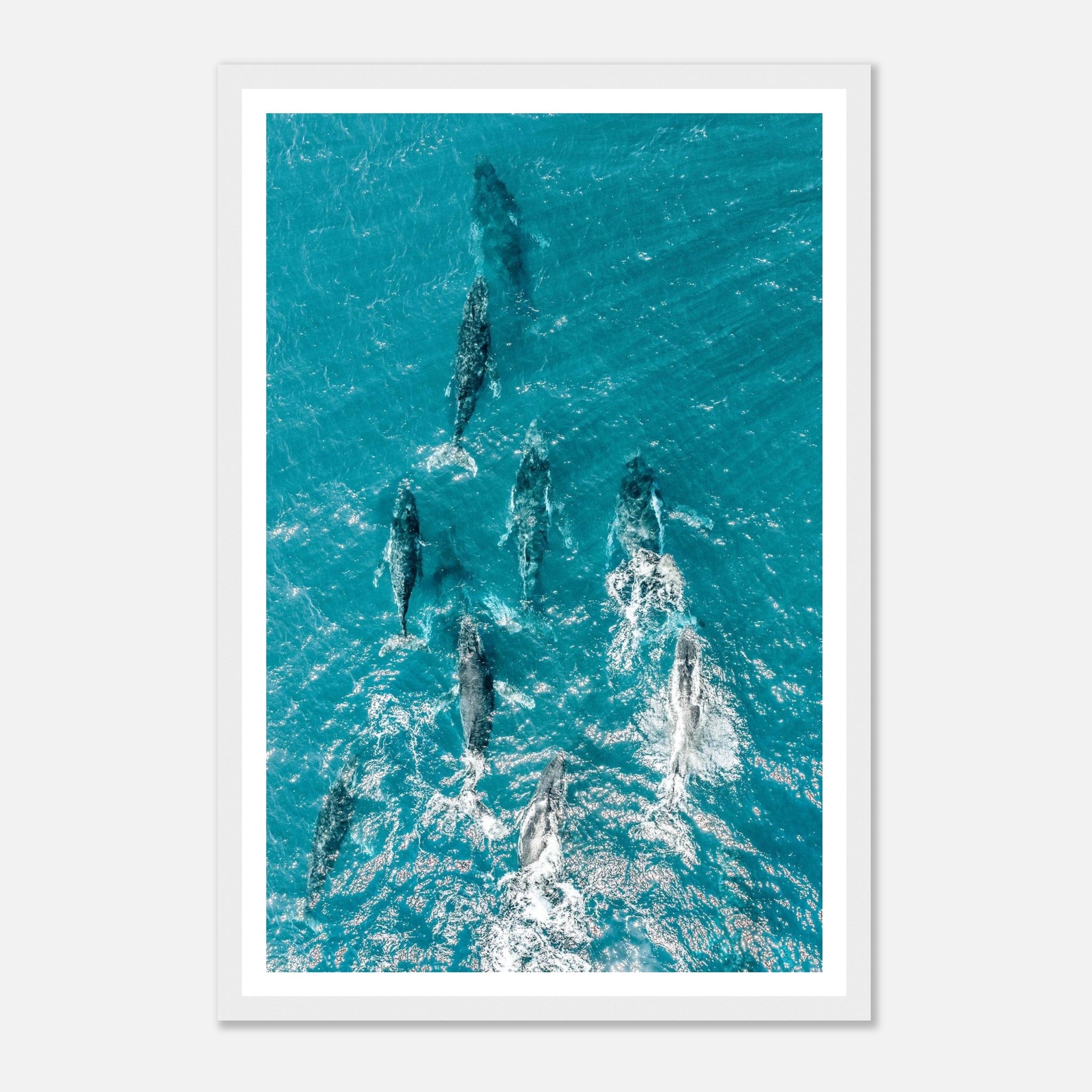 876d742c-e1e2-4ae4-b785-6af10e758ca5