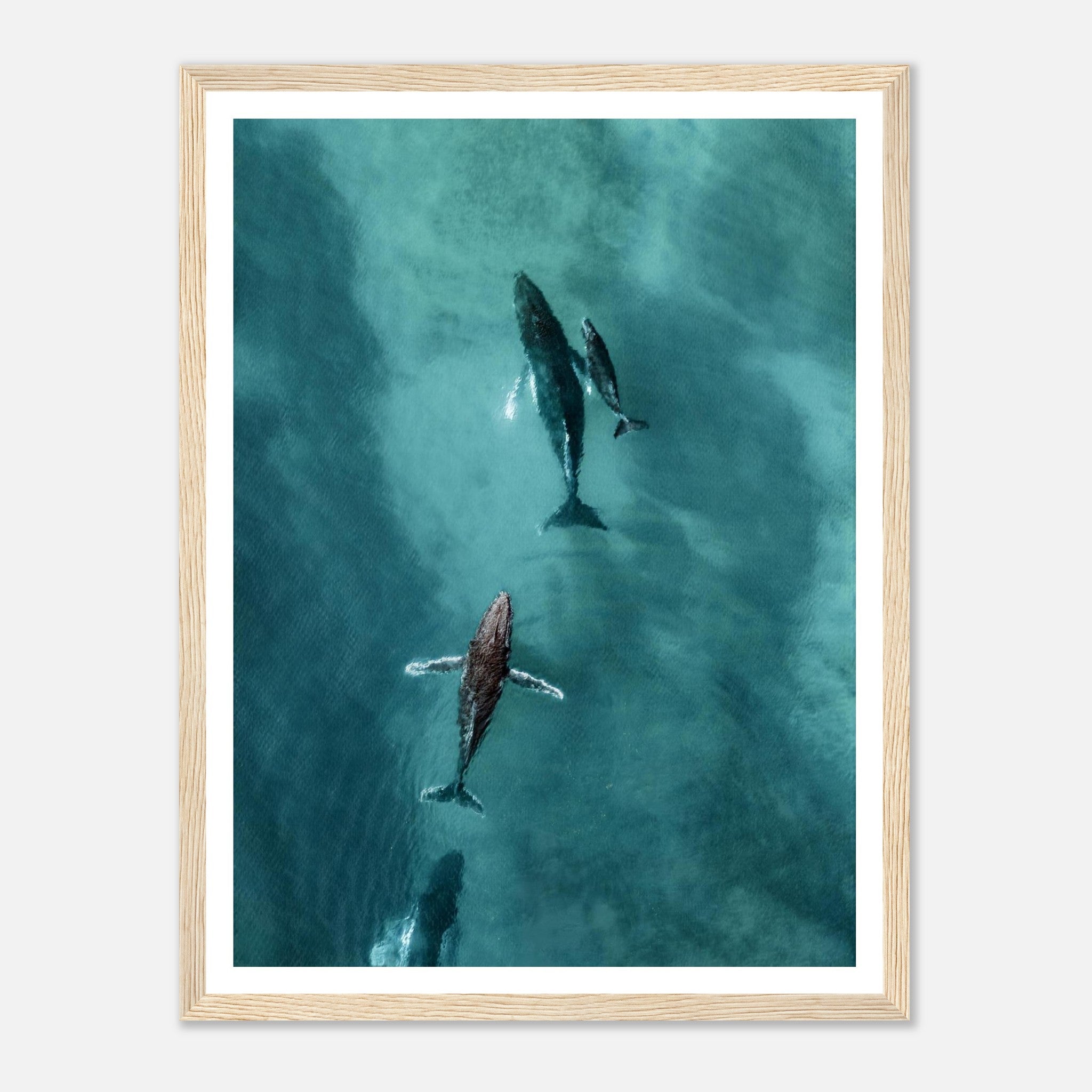 88bcad2b-a2b1-41c8-9da5-94d4f3e0ec7e